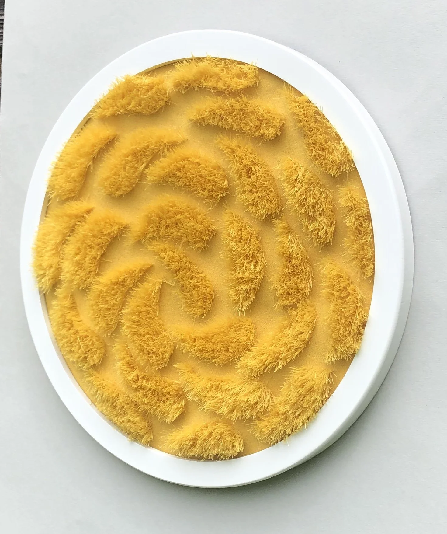 Mini Golden Murmurations £200