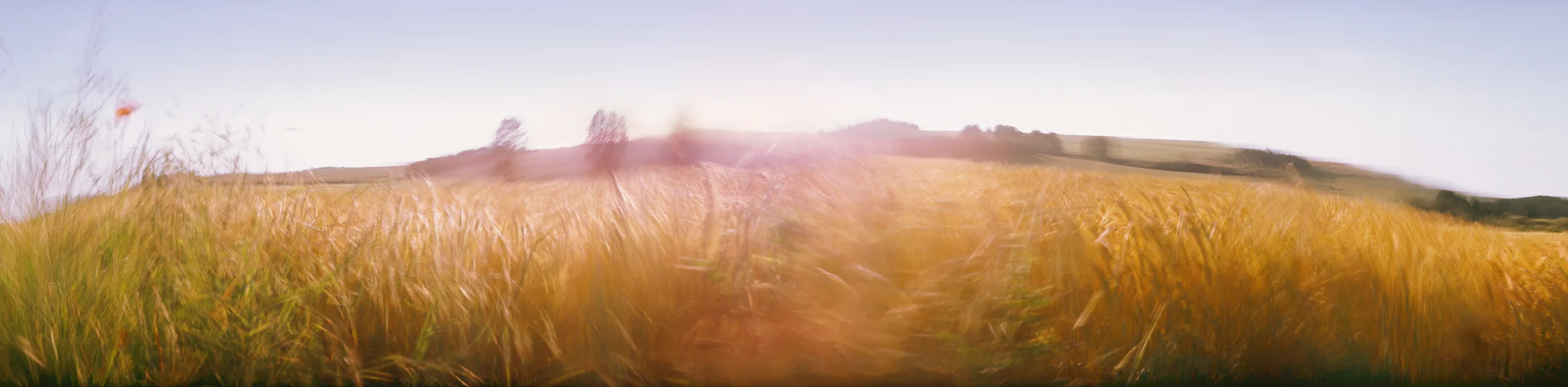Codford, Wiltshire, 2006