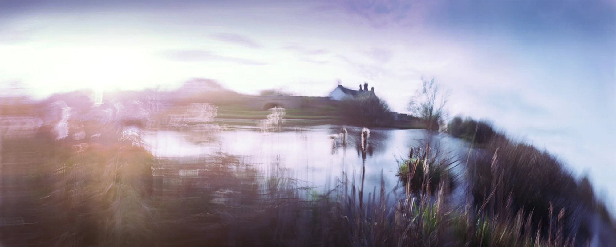 Pelsall Common, 2010