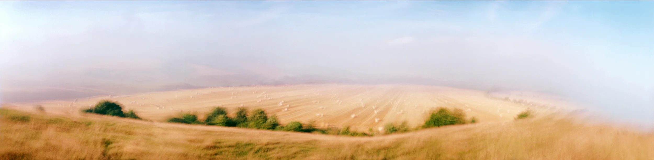 Wiltshire Fields II, 2004