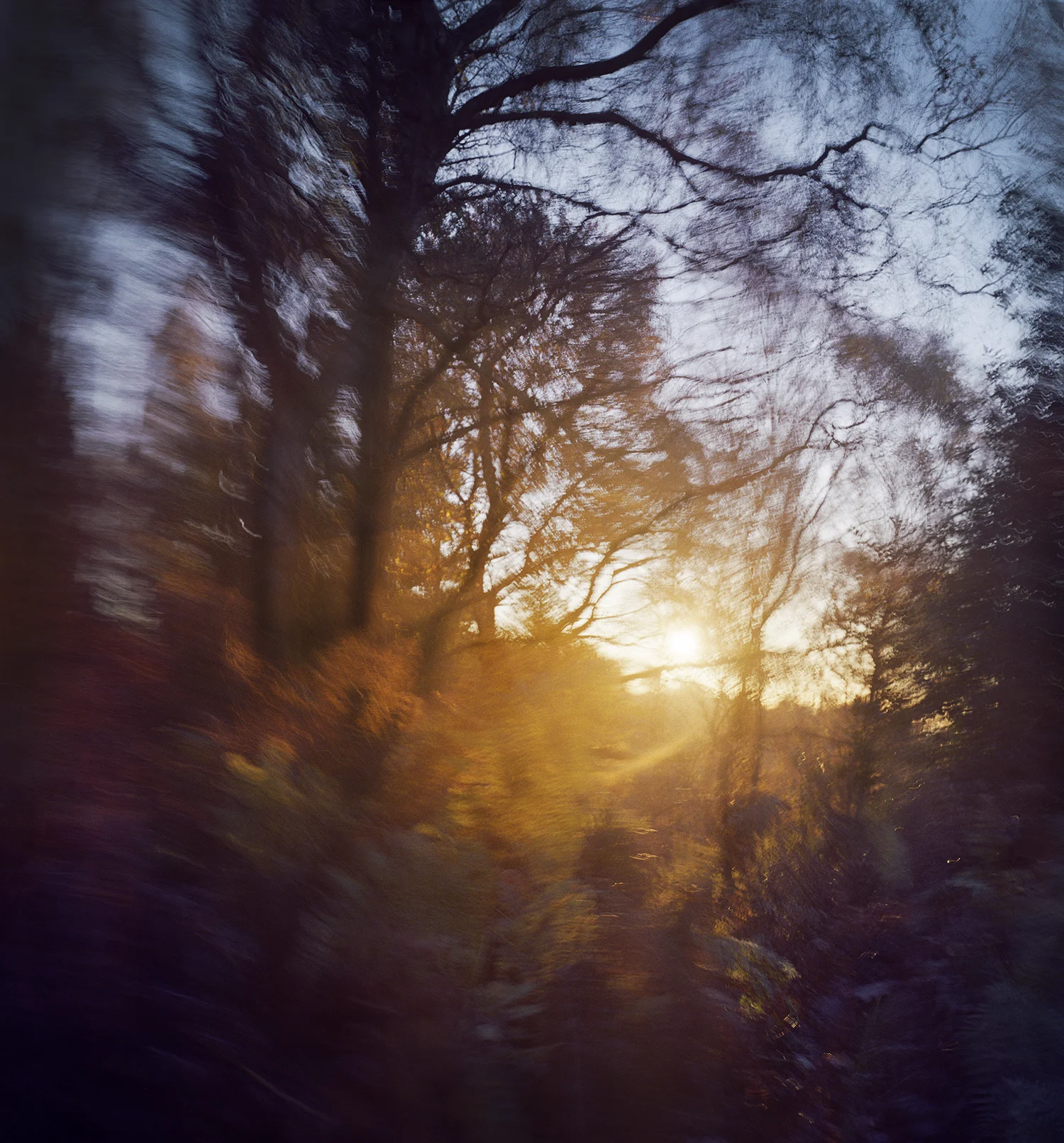 Cannock Chase Dawn