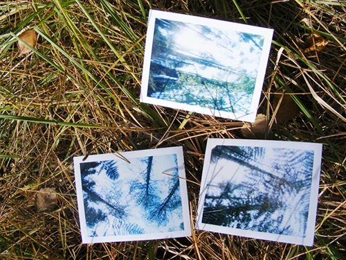 photography workshops