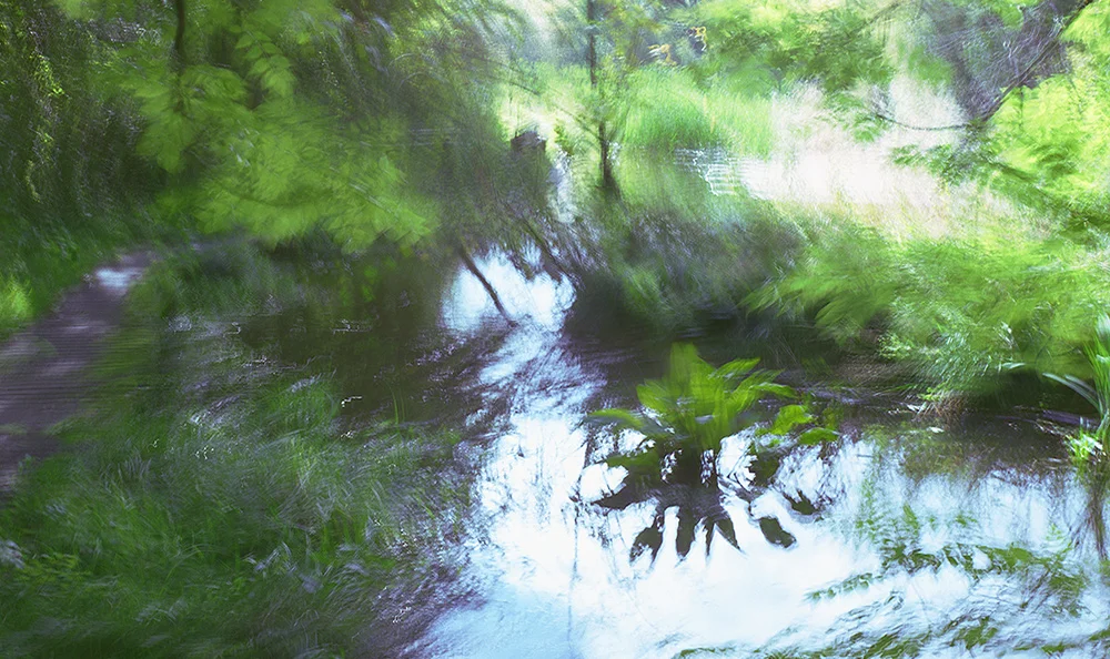 Artwork for Palliative Care Hospice