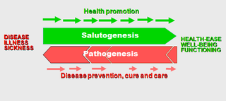 salutogenic theory