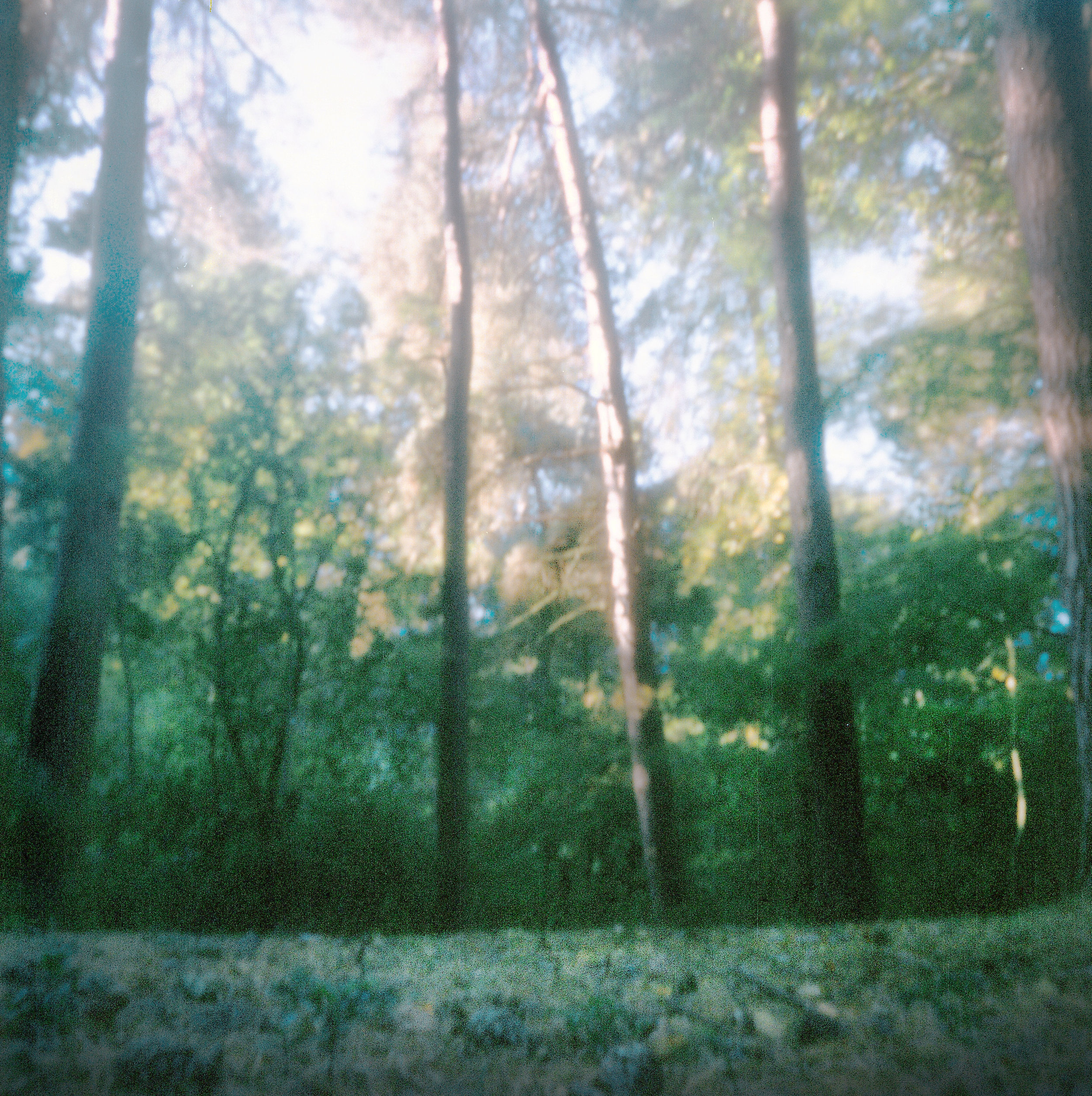 pinhole_8.jpg