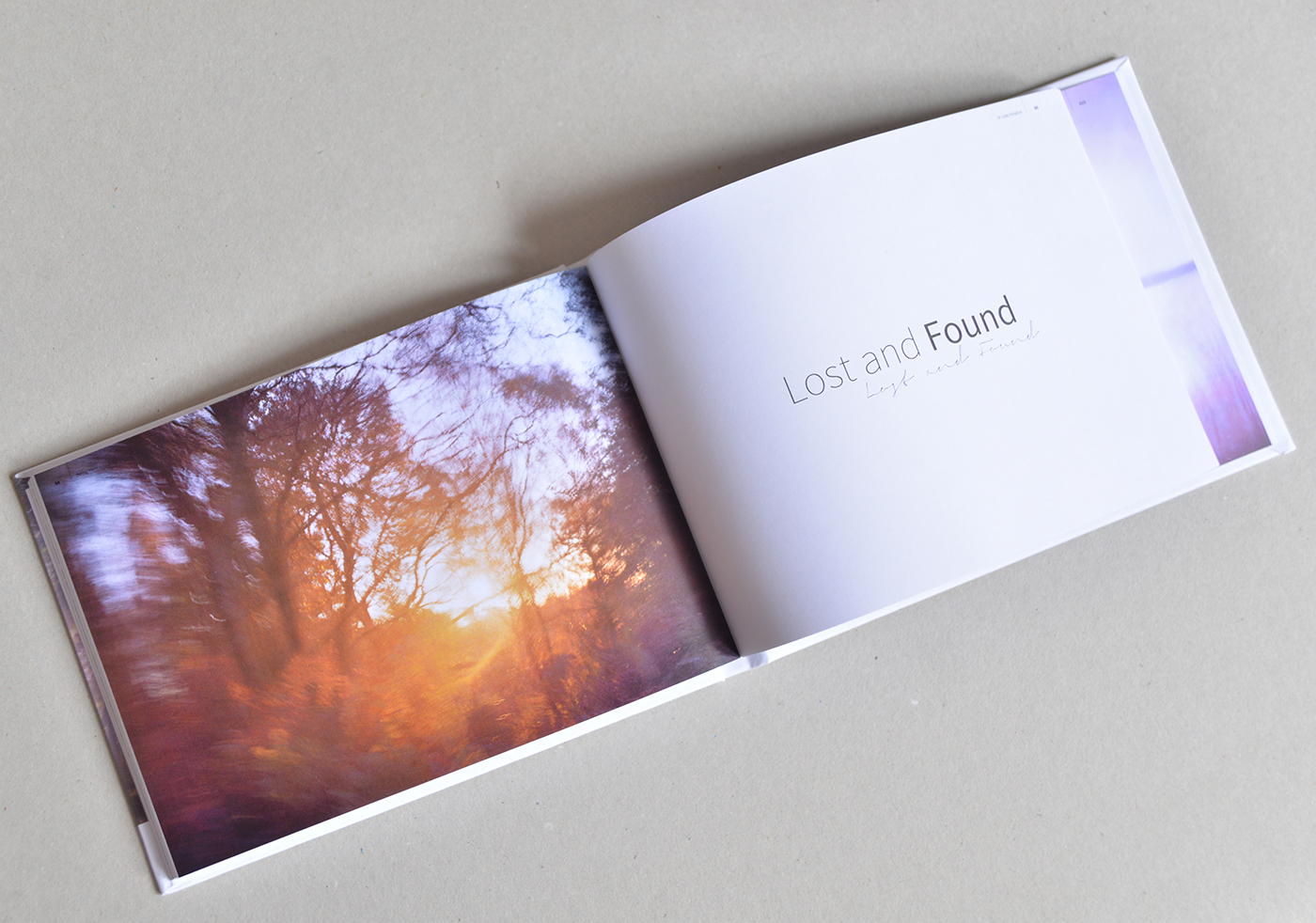 copy of the book 'Being Here'