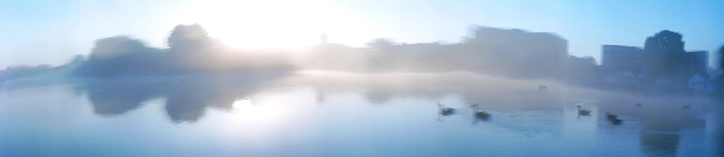 Raven's Ait, Thames