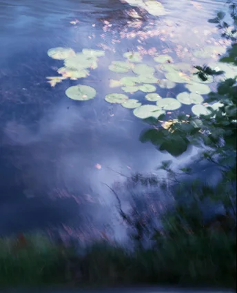 Cannop Ponds