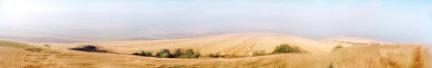 Wiltshire Fields