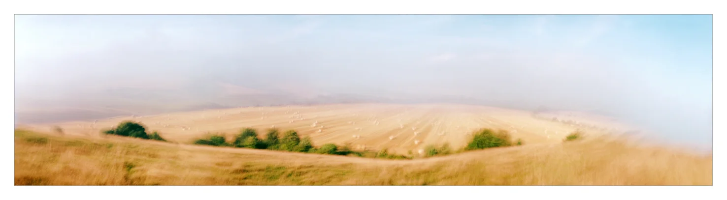 Wiltshire Fields II