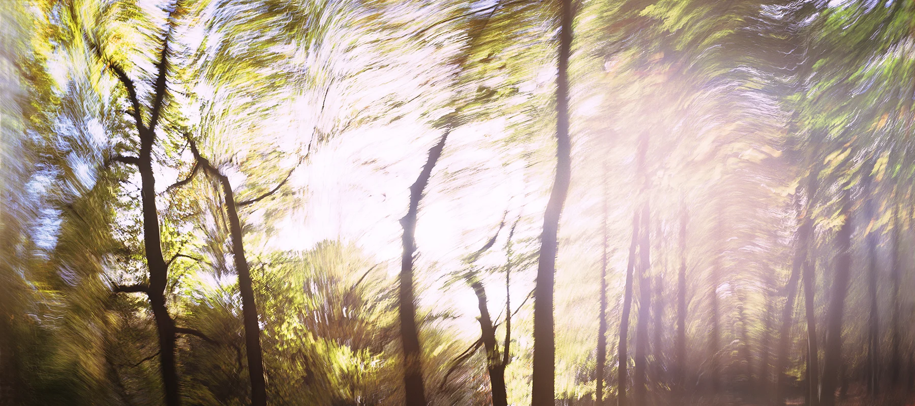 Hopwas Woods