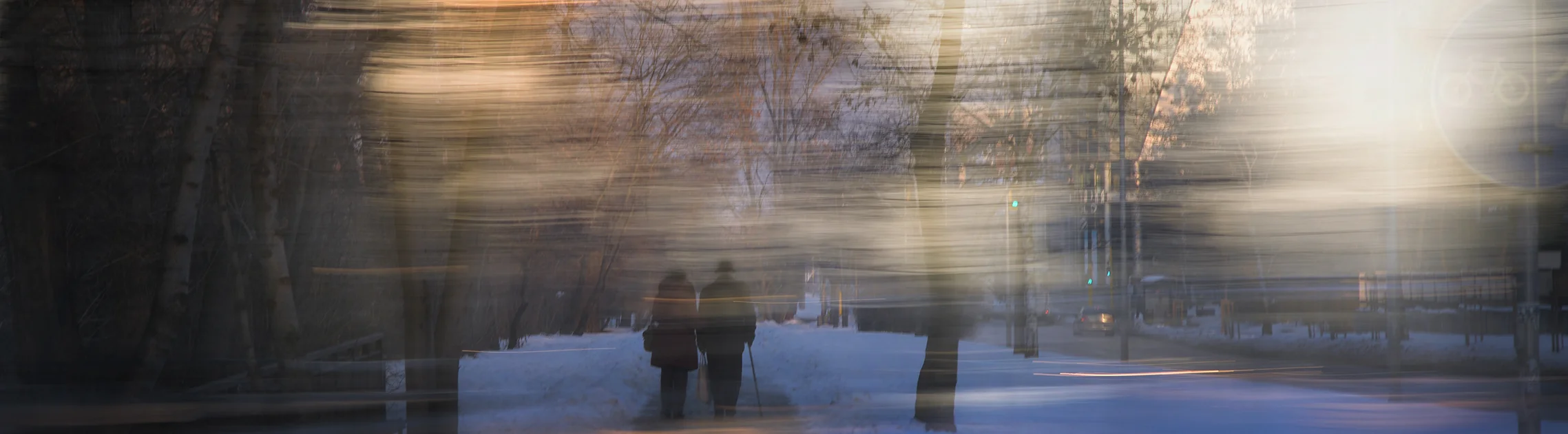 Winter Afternoon Walk, Sofia