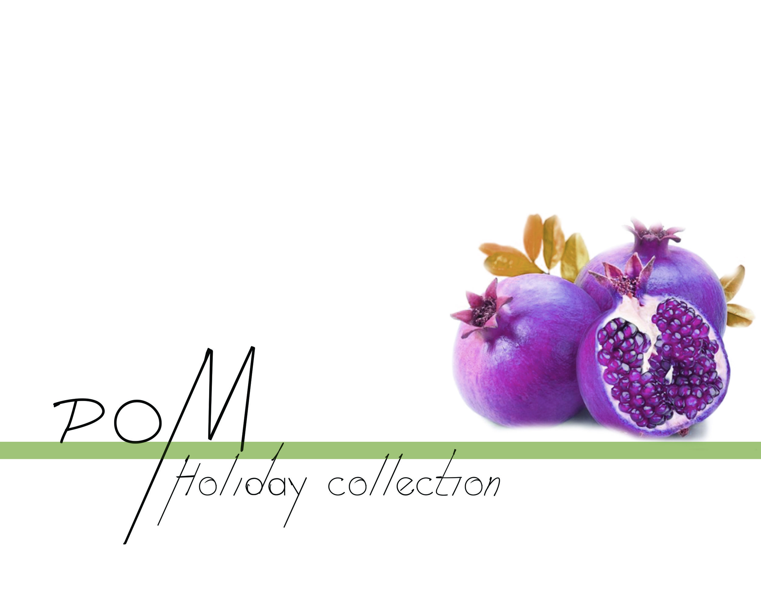 holiday website wash.jpg