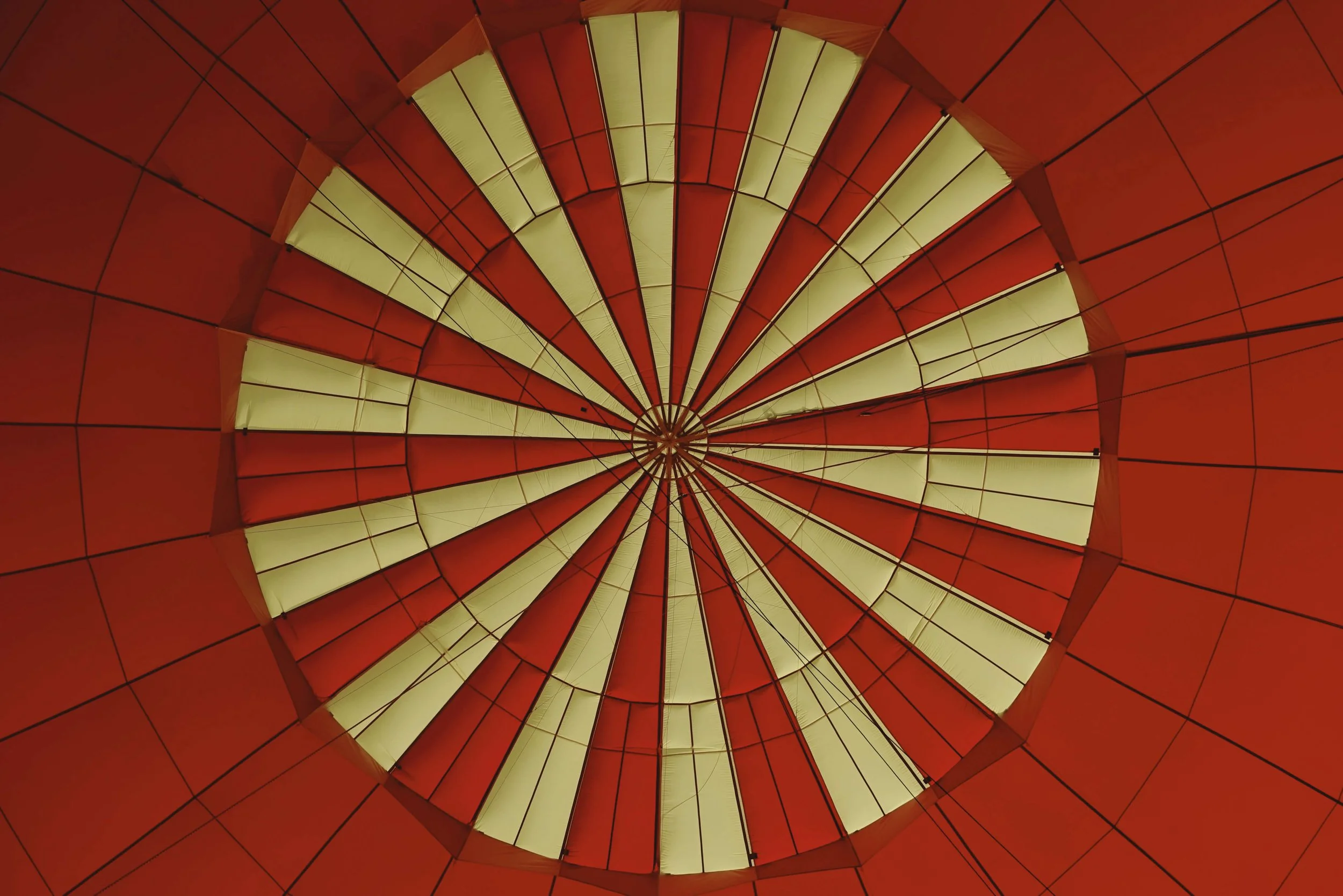 6882d03b-a132-4e37-93d1-a31479aaf094 (1).jpg