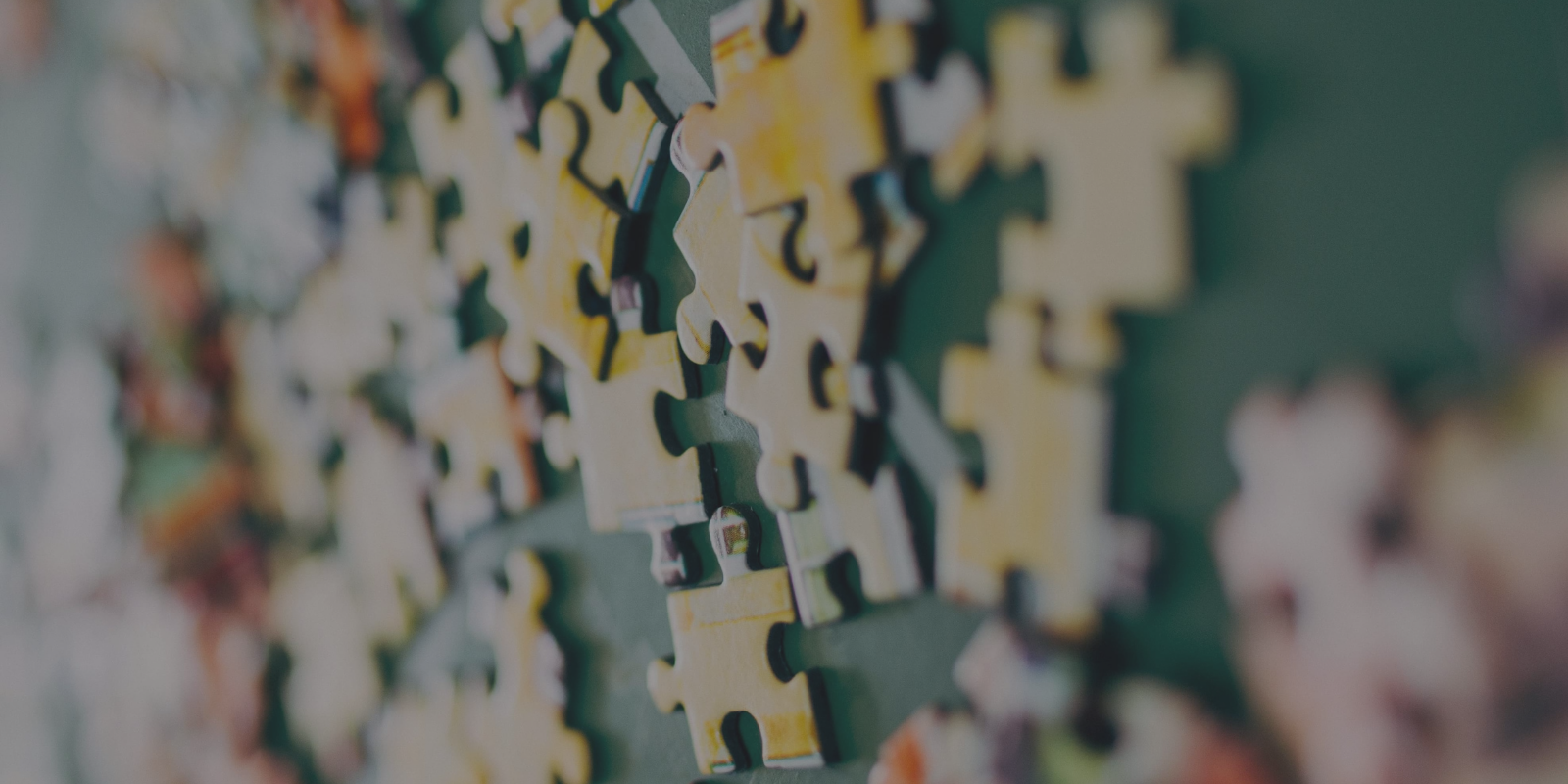 Fractional CIO Header.png