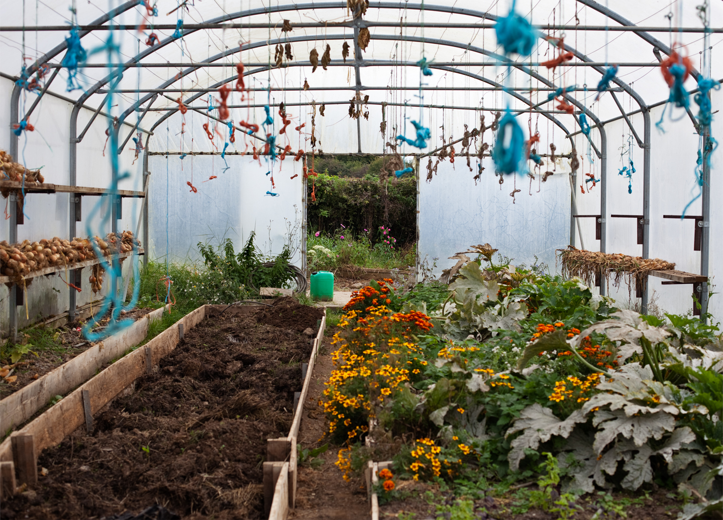 October Greenhouse