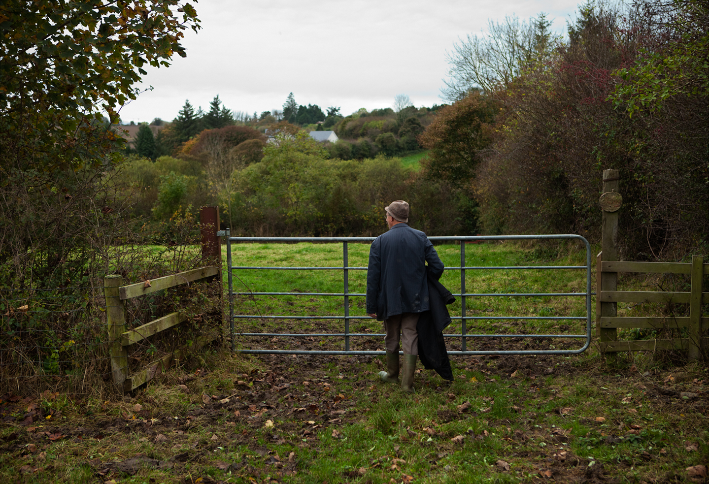 Off to count sheep