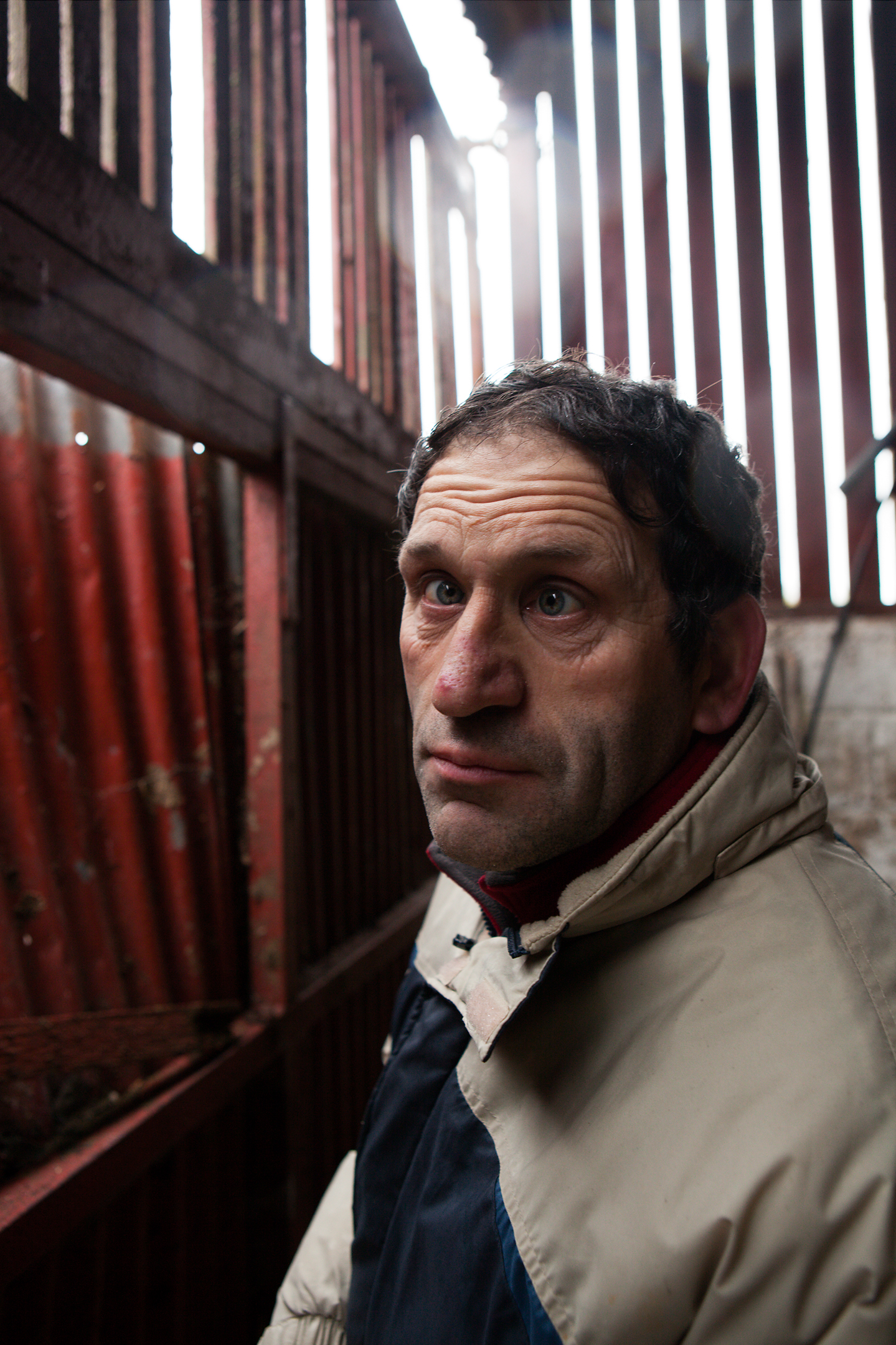 Mark in the barn