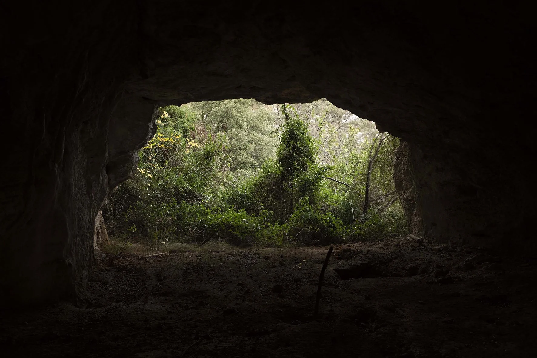 DSCF9950-SITE.jpg