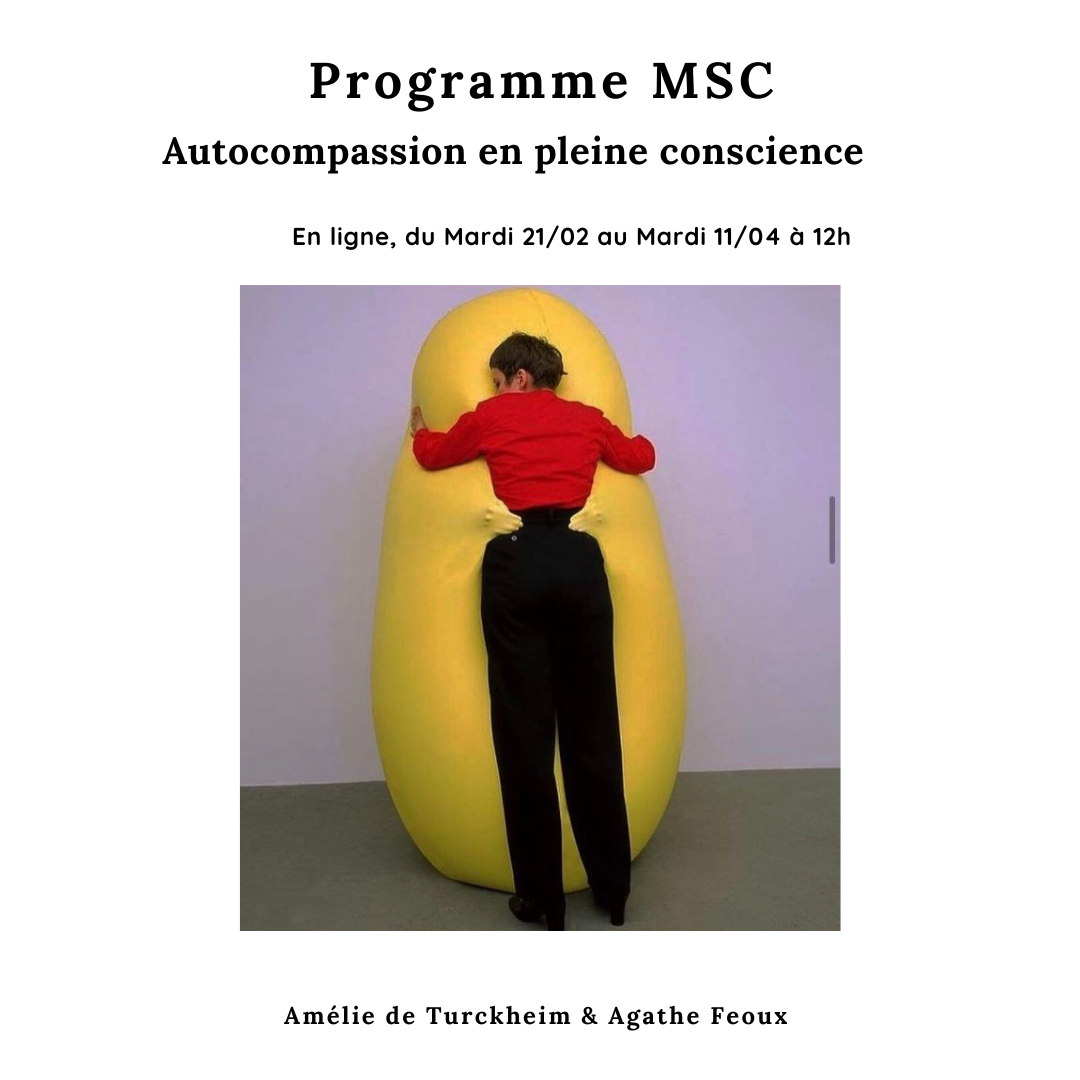 Programme D'Autocompassion en Pleine Conscience - En ligne
