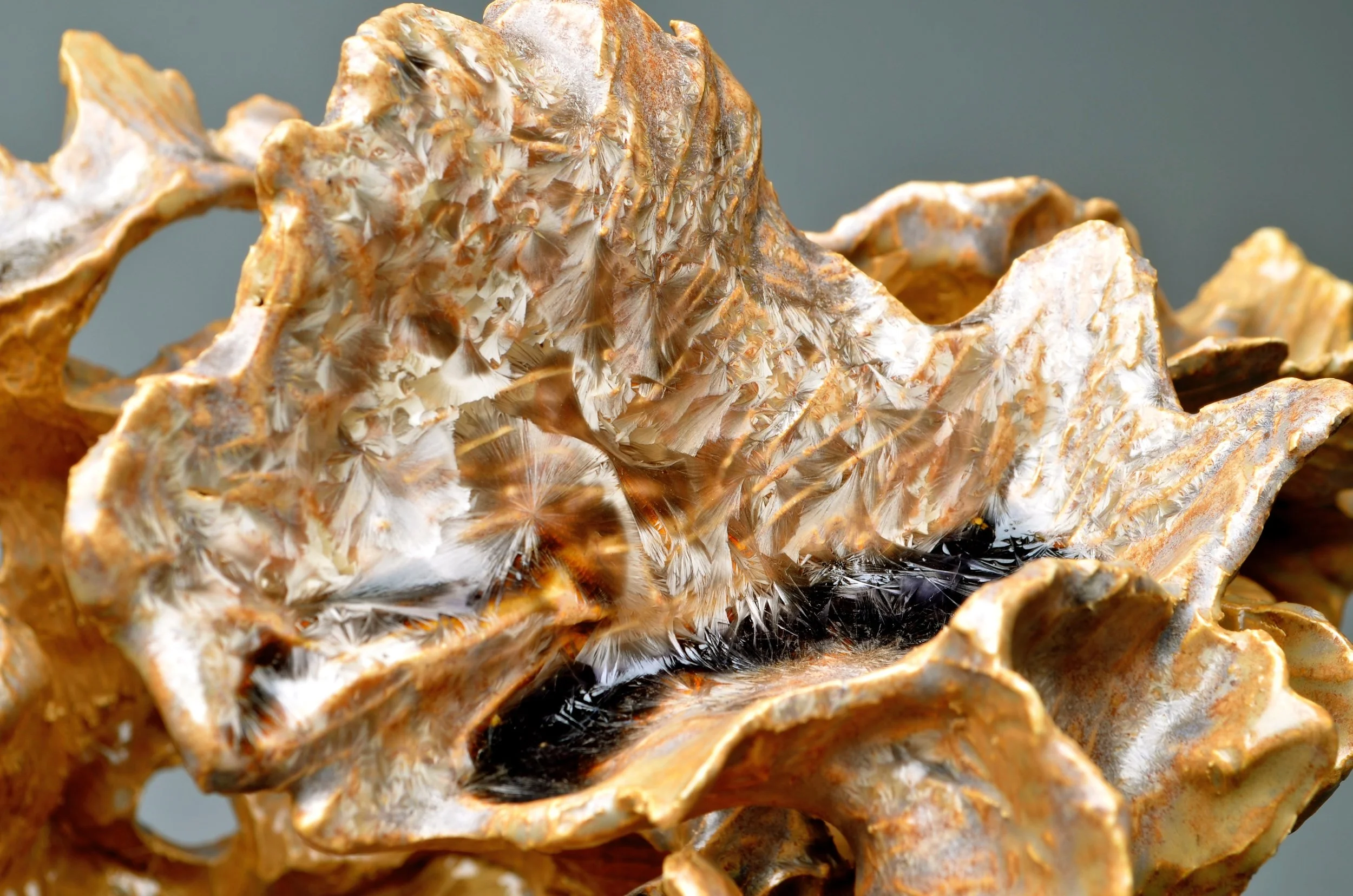 Morel-sculpture-15-Maria-Polky.jpg
