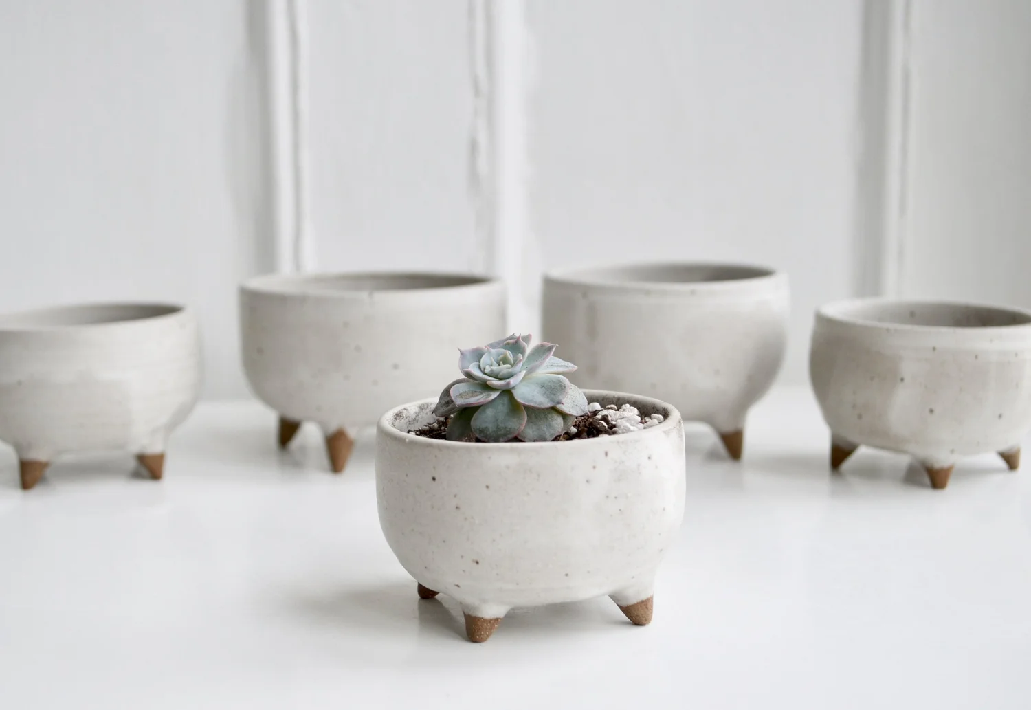 Medium Matte White Spiked Planter (Upward Spikes) — Maria Polky