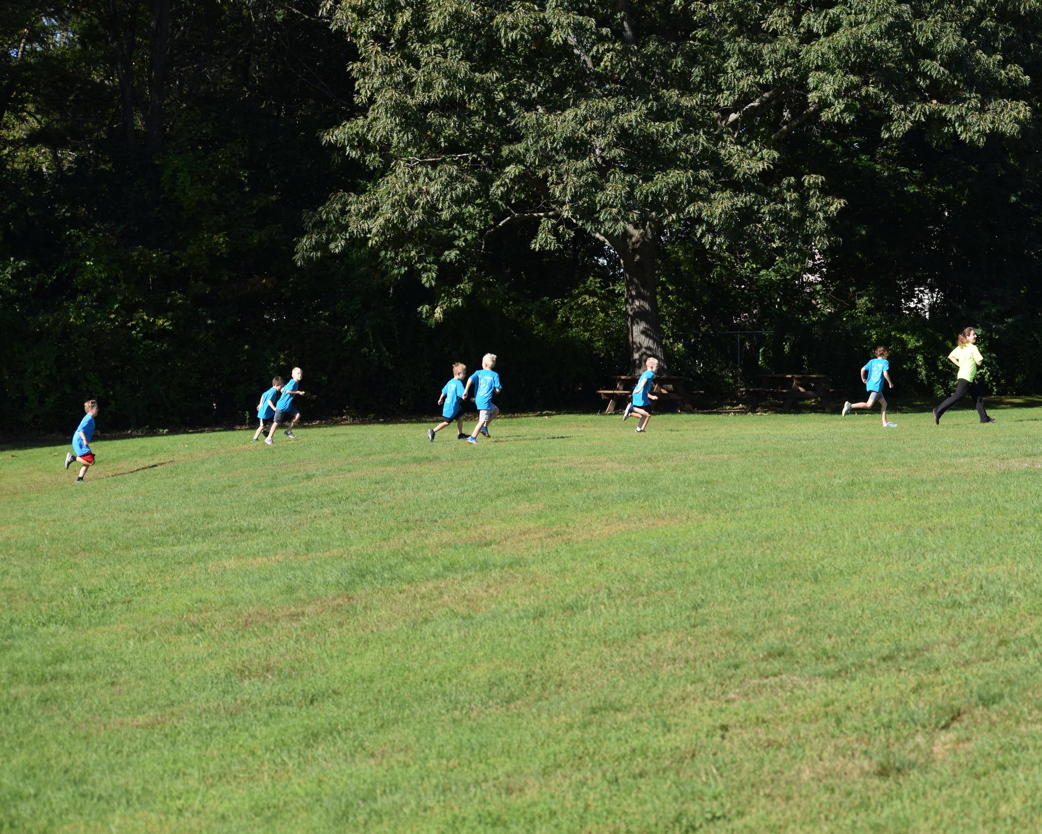 DSC_0176.jpg