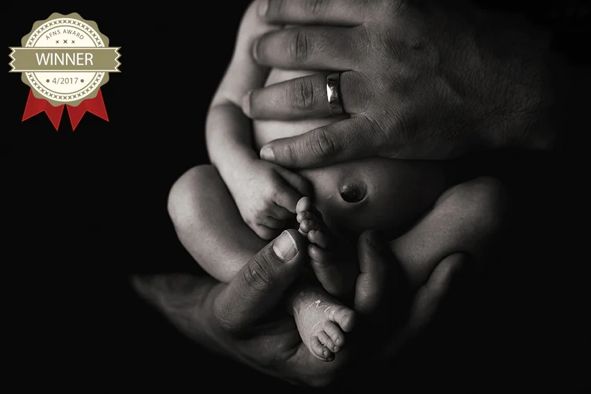 56906442_parents_afns_award.jpg
