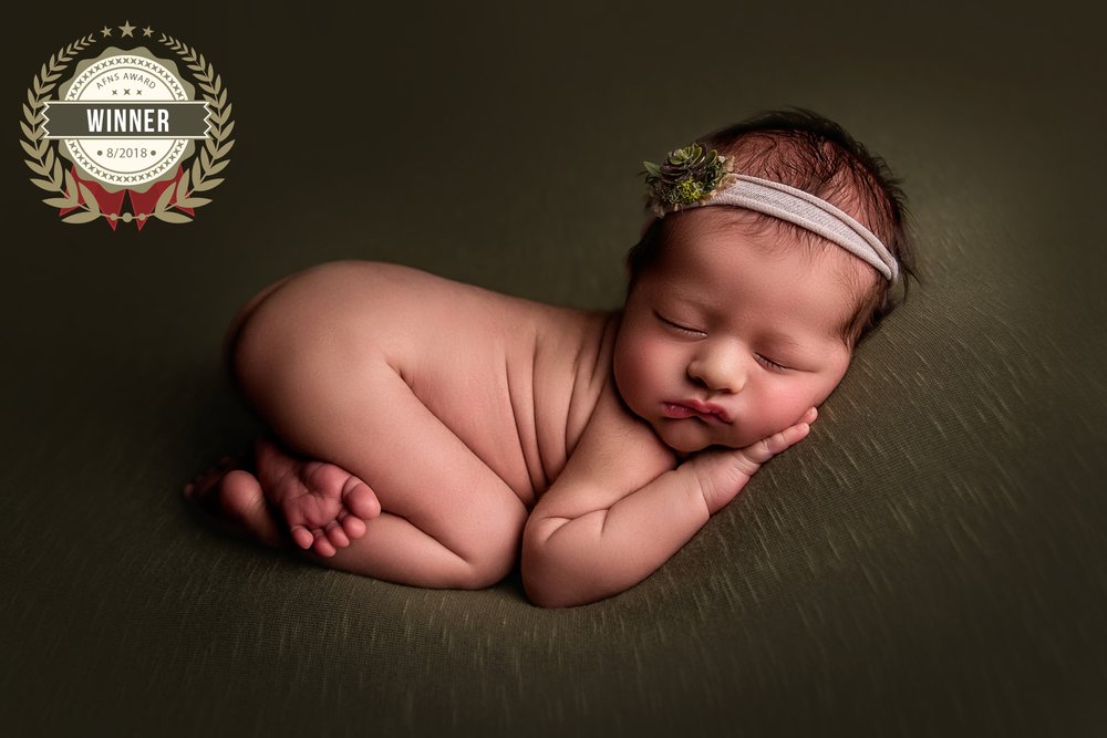 Afns Award Award For Photographers In The Field Of Newborn Photography Maternity Photography