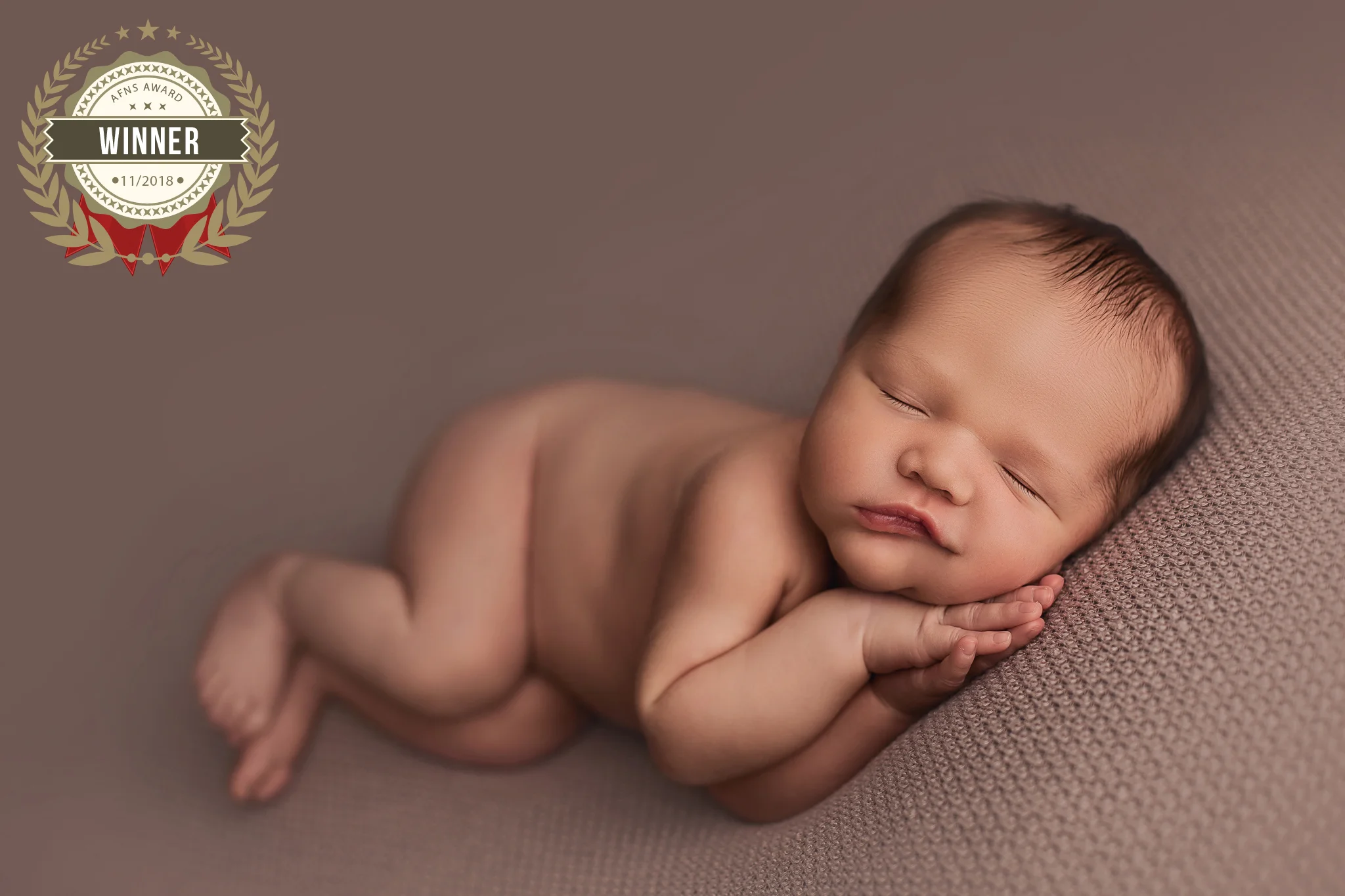 56906443_010hocusfocusphotography.jpg