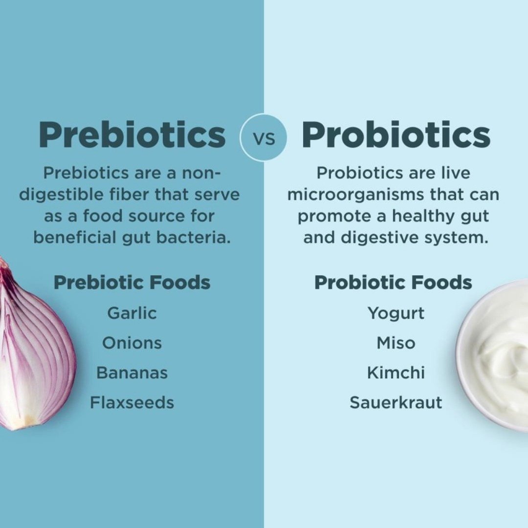 PREBIOTICS vs PROBIOTICS
Prebiotics feed Probiotics and if you are not a fan of Kimchi, Sauerkraut or Miso, we have PROBIOTICS in capsule form to make healing your GUT more convenient. Drop in and check out our selection of HIGH QUALITY Probiotics an