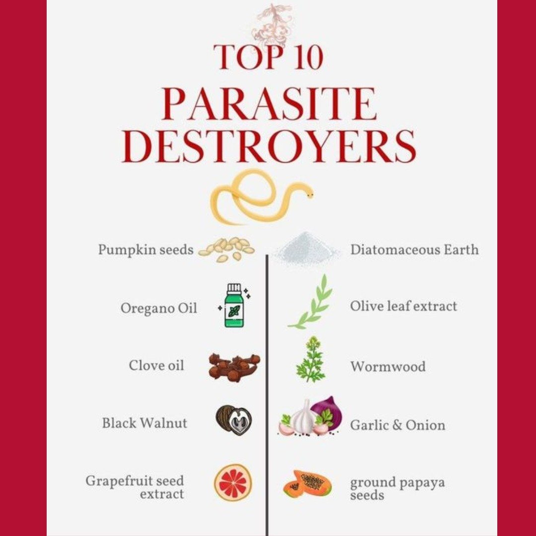 TOP 10 PARASITE DESTROYERS are Pumpkin Seeds, Oregano Oil, Clove Oil, Black Walnut, Grapefruit Seed Extract, Diatomaceous Earth, Olive Leaf Extract, Wormwood, Garlic &amp; Onion and Ground Papaya Seeds. We all carry parasites in our GUTS and illness 