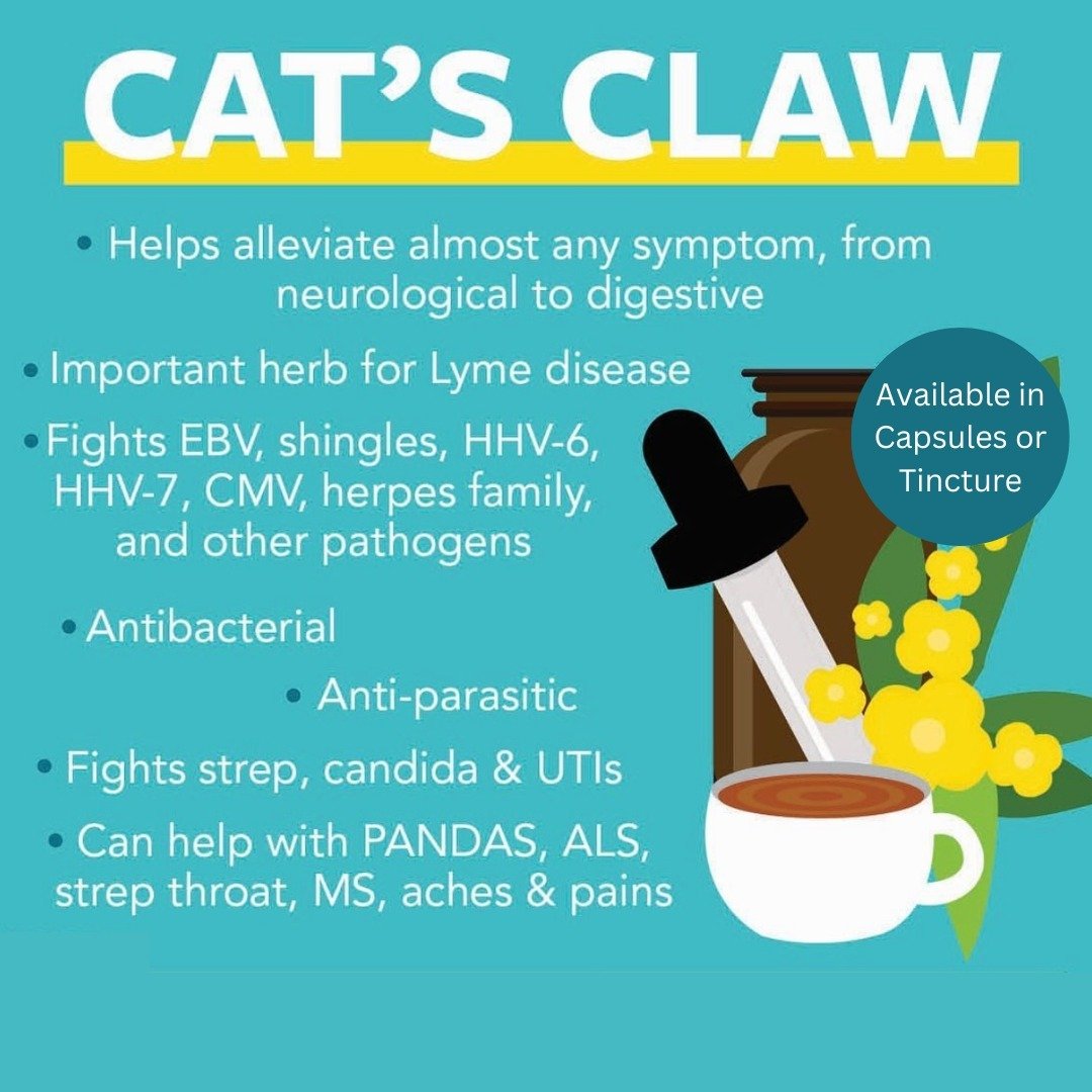 Did you know . . .
 CAT'S CLAW is a powerful ANTIBIOTIC!!
When combined with Teasel Root and taken regularly for 4-6 weeks, it can knock out LYME DISEASE, as well as alleviating symptoms from SHINGLES, UTI Infections, EBV and Strep. Stop in and check