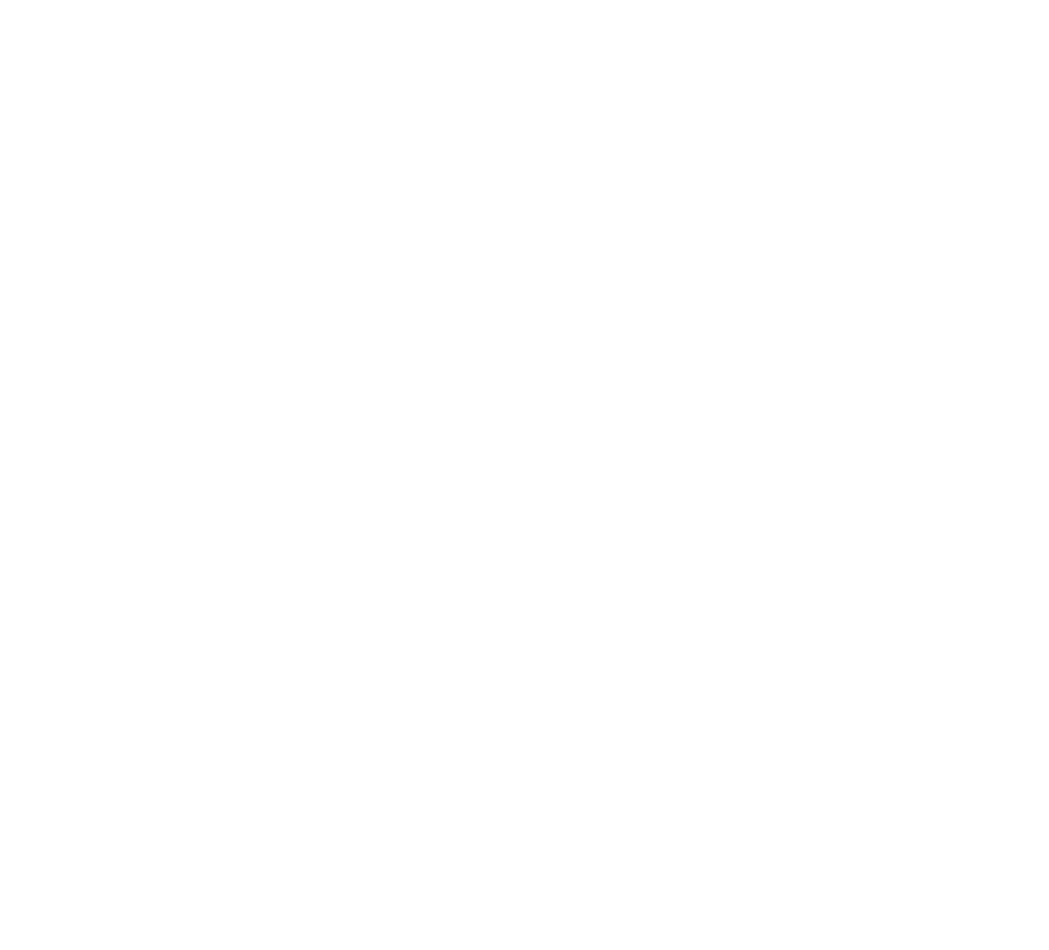 Stephen Ray 