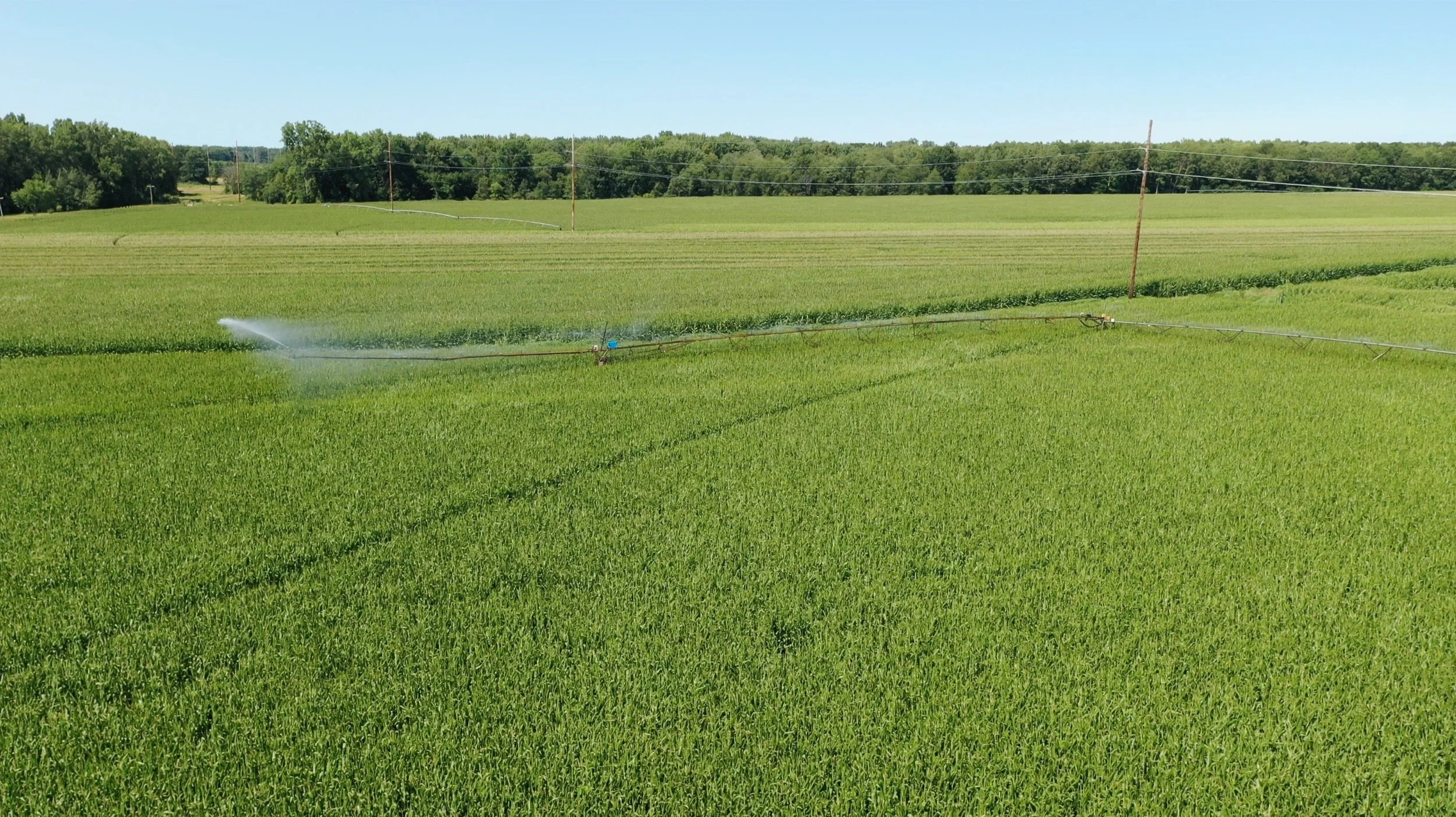 Center Pivot Friendly Fields