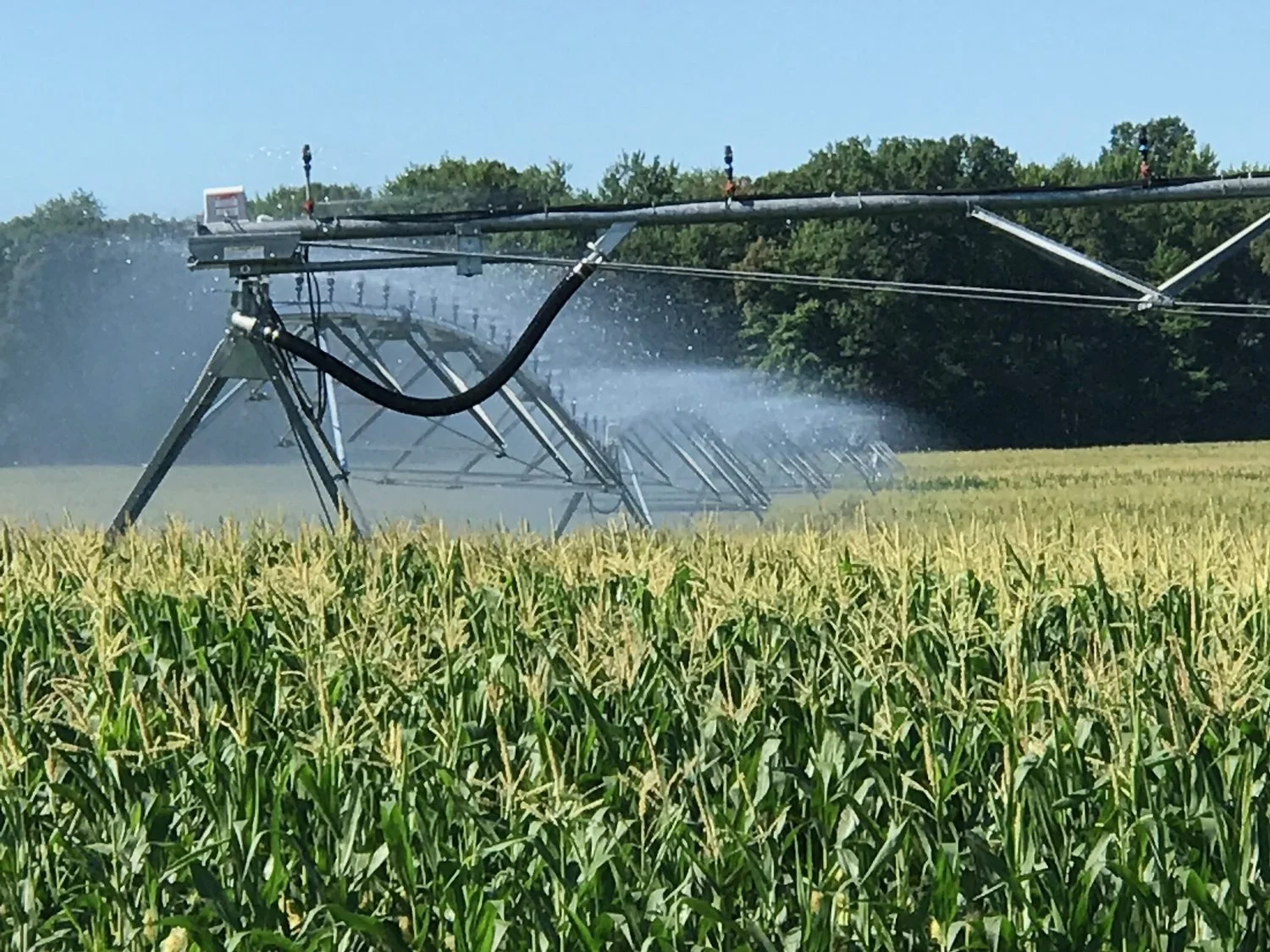 Take The Next Step Towards Success… Water Your Crops!