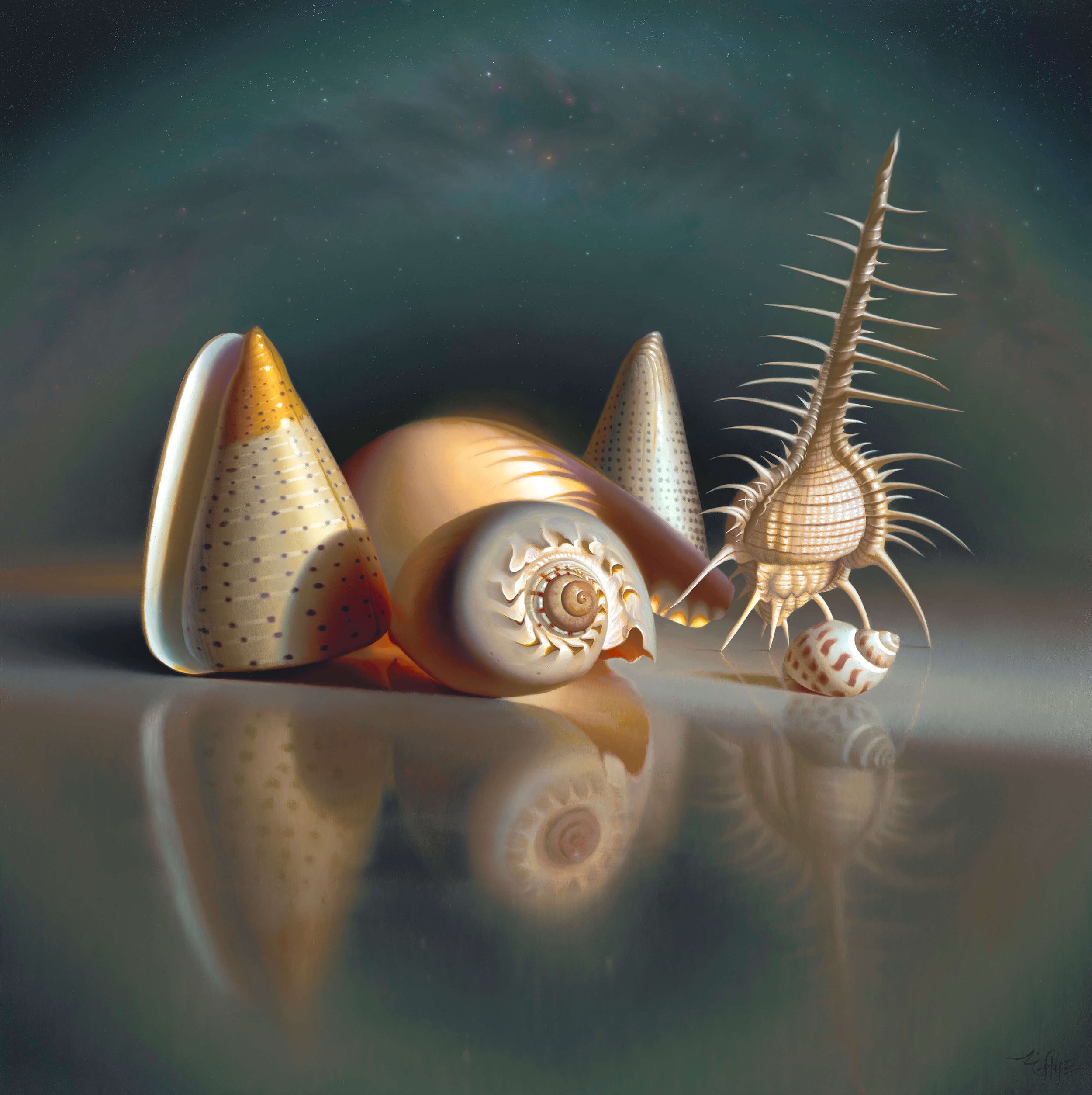 ENDLESS FORMS MOST BEAUTIFUL