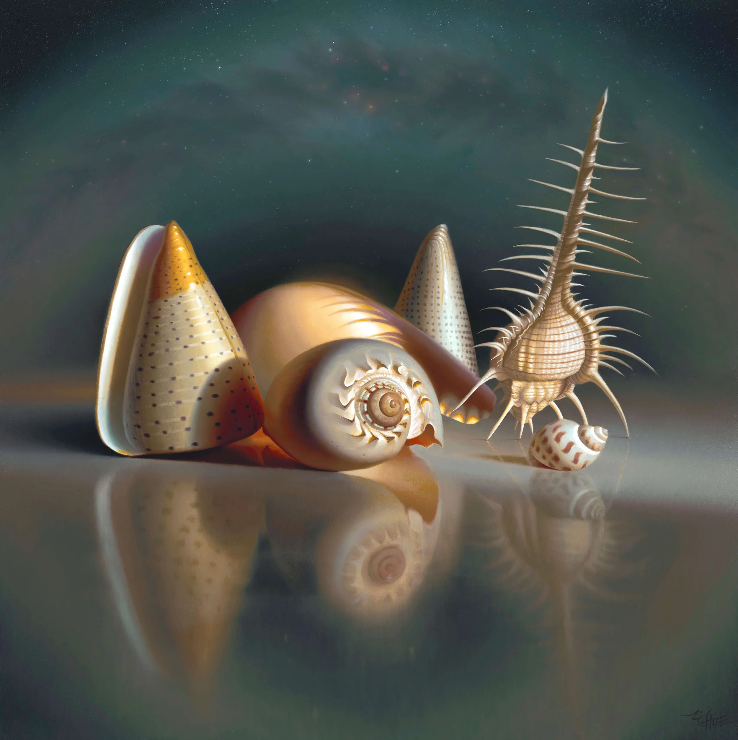 ENDLESS FORMS MOST BEAUTIFUL