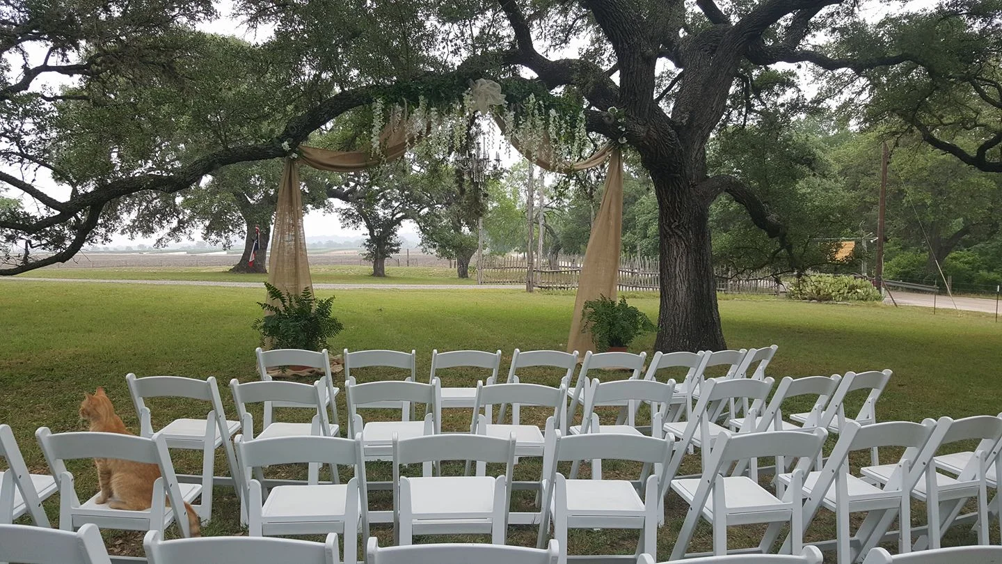Wedding 4.jpg