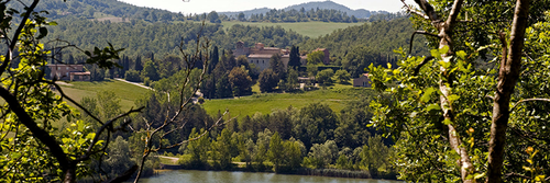 View+from+lake.png