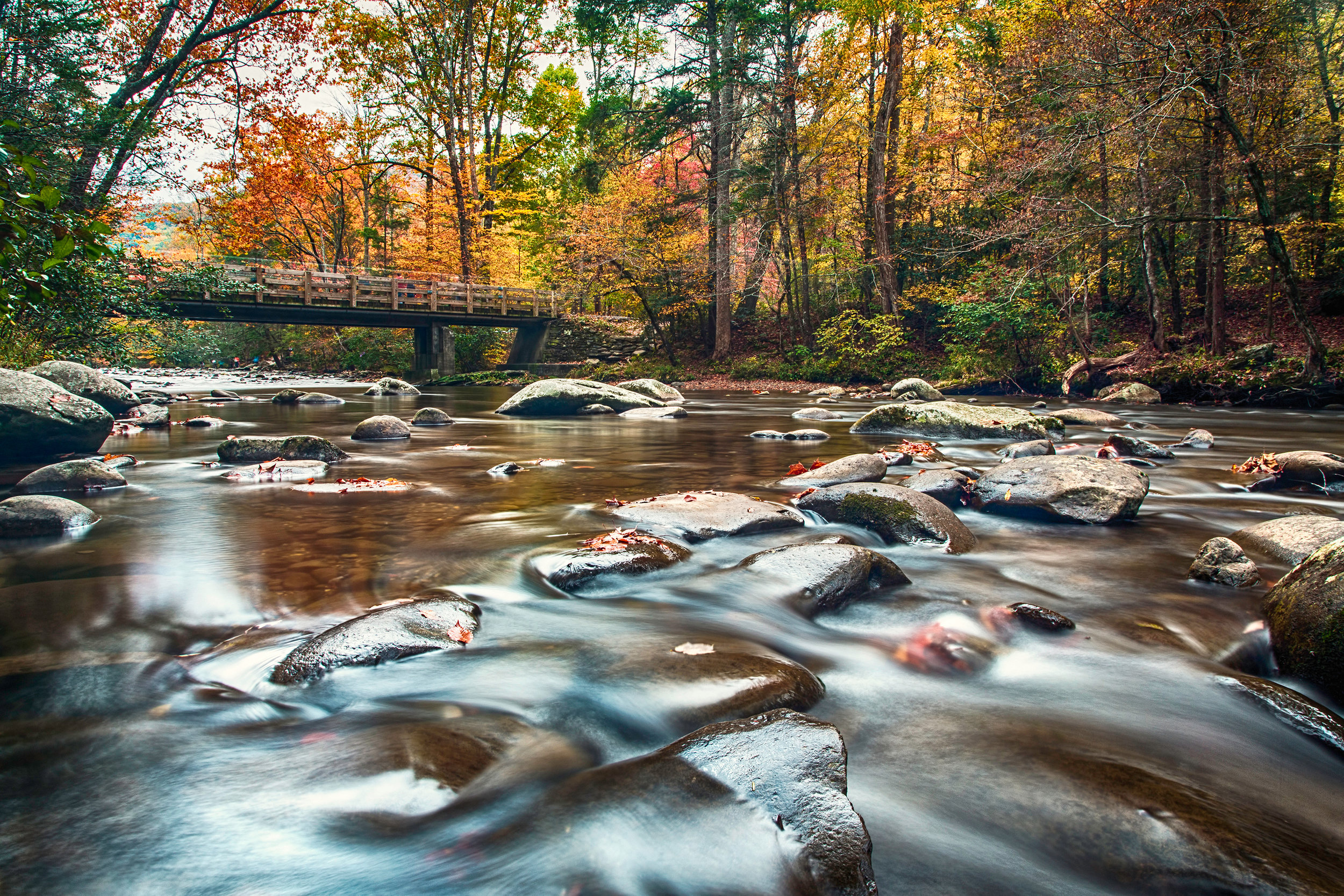 AJG_8191_fall.jpg