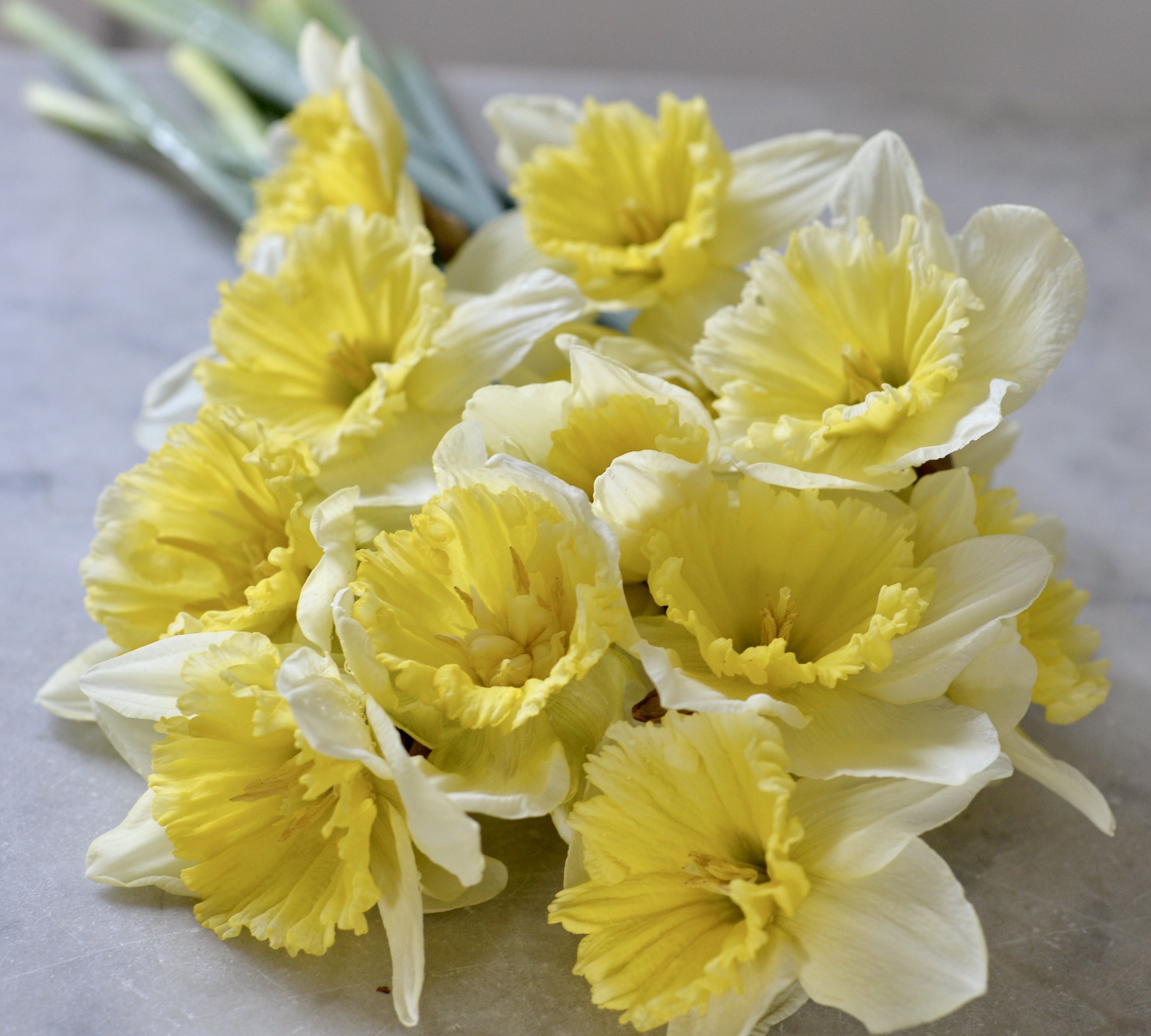 Monthly Musings - March 2023