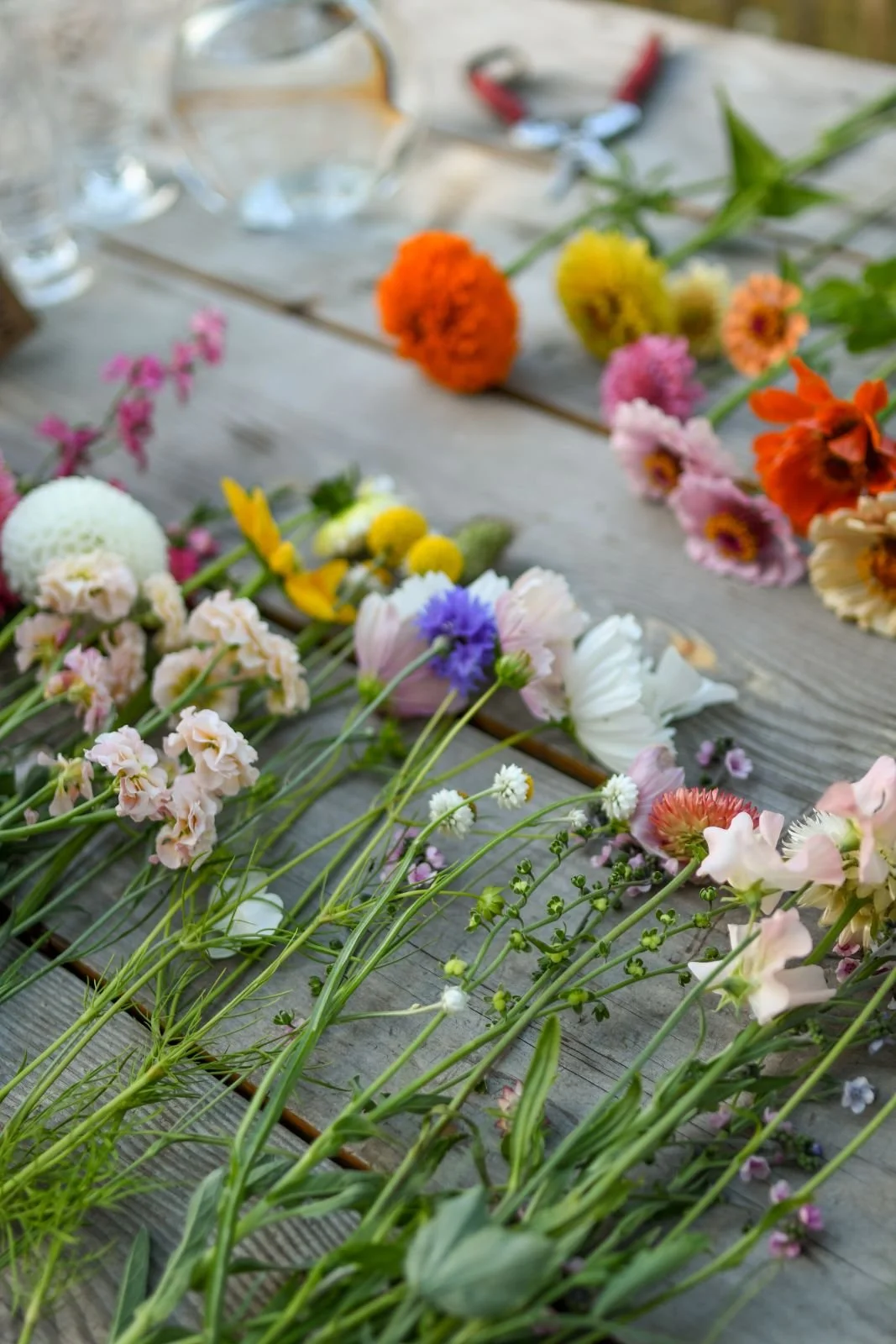 Monthly Musings - August 2023