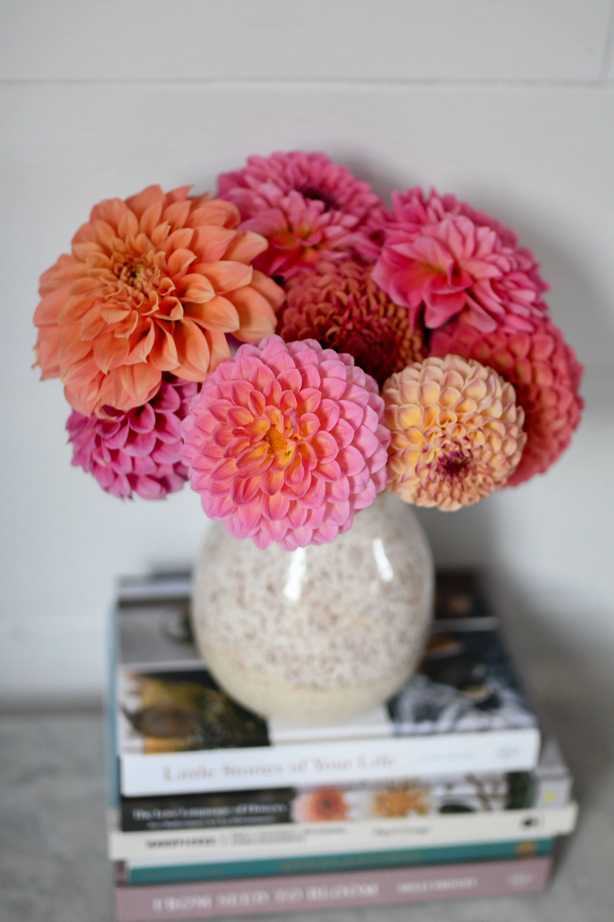 Monthly Musings - October 2023