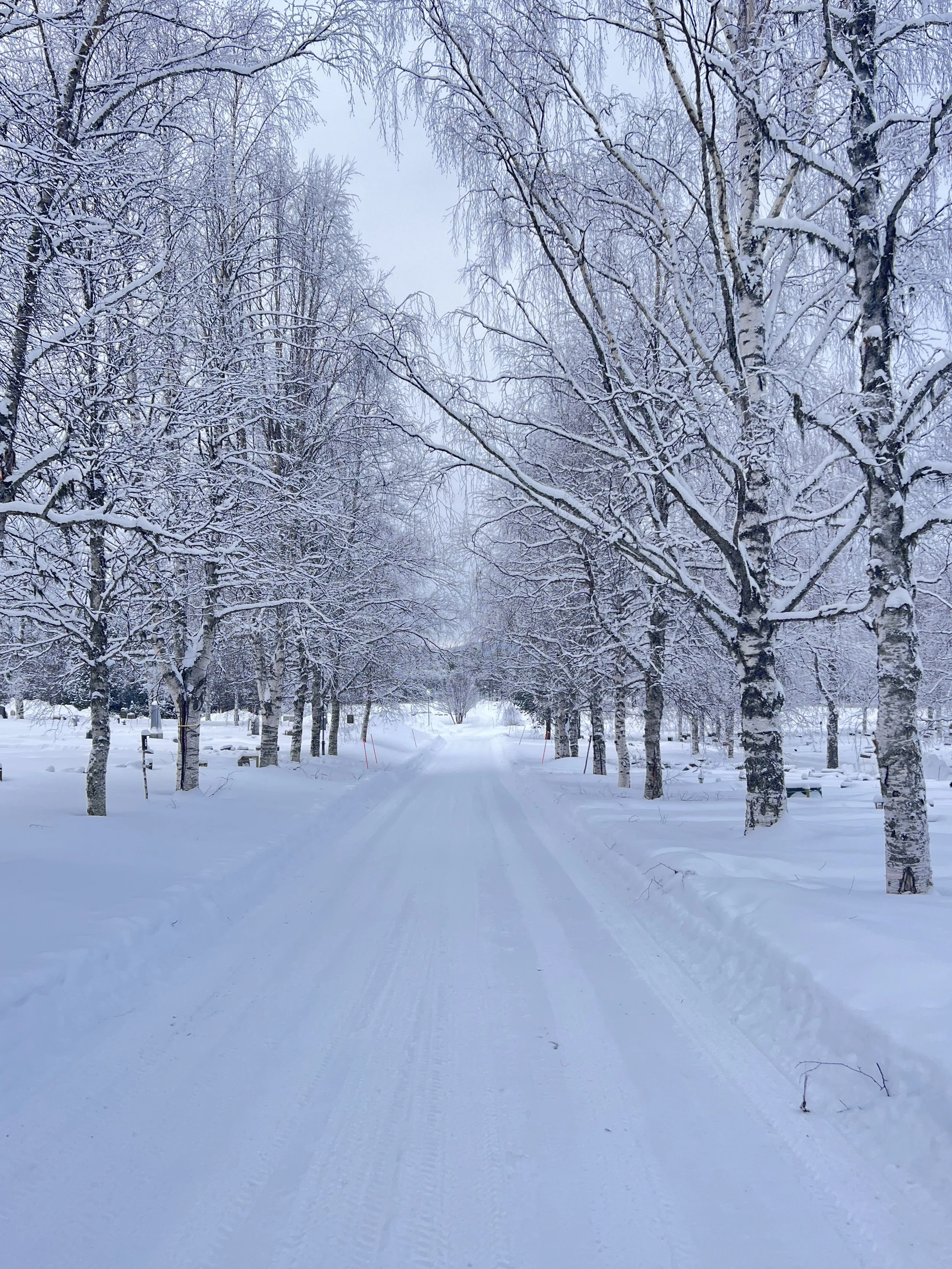 Monthly Musings - February 2024