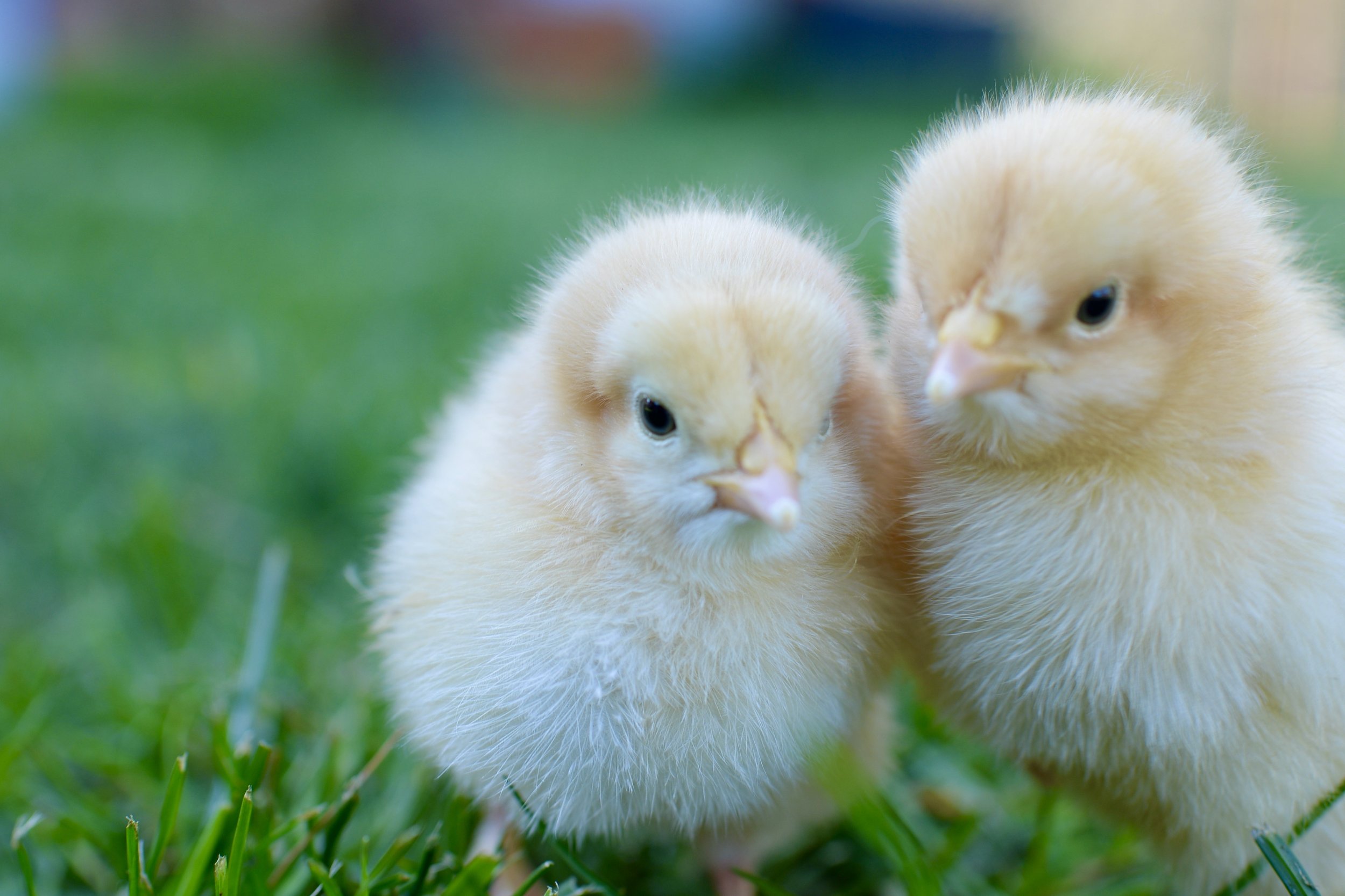 Monthly Musings - March 2024