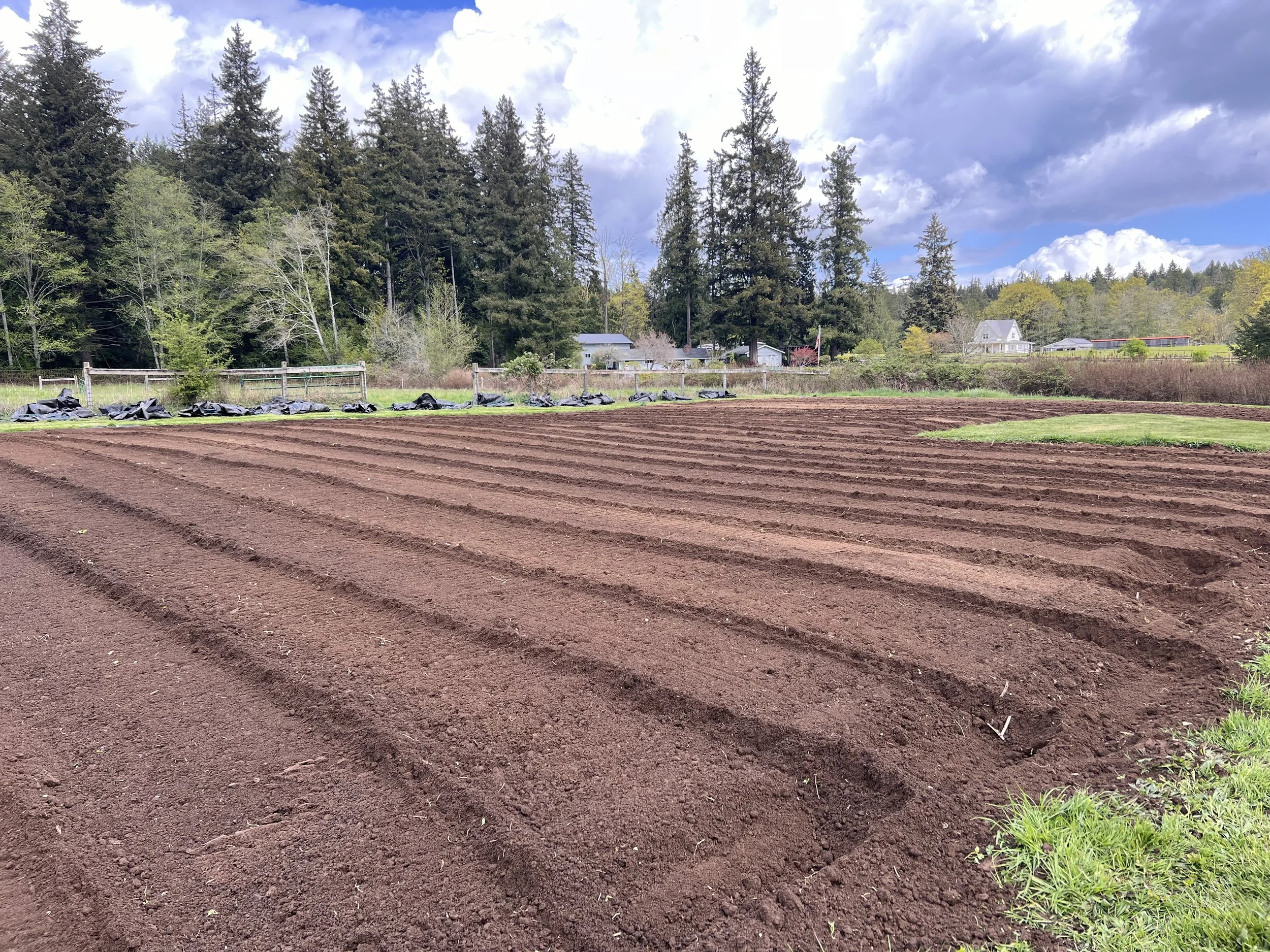 Monthly Musings - April 2024