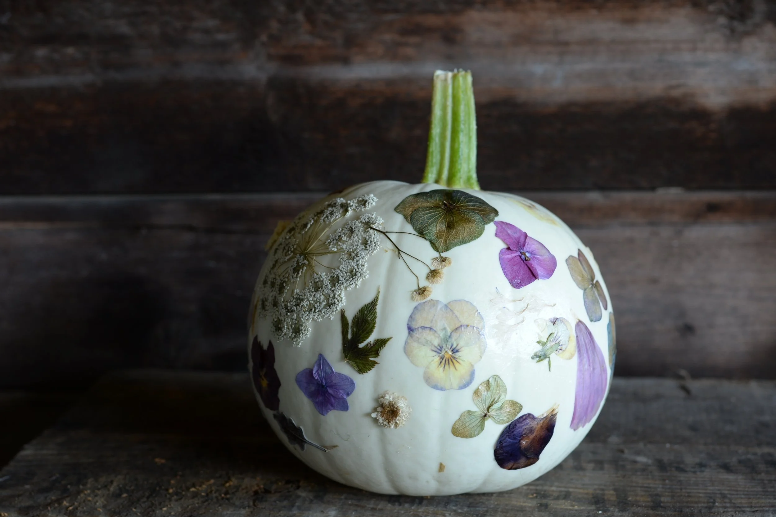 Botanical Pumpkins