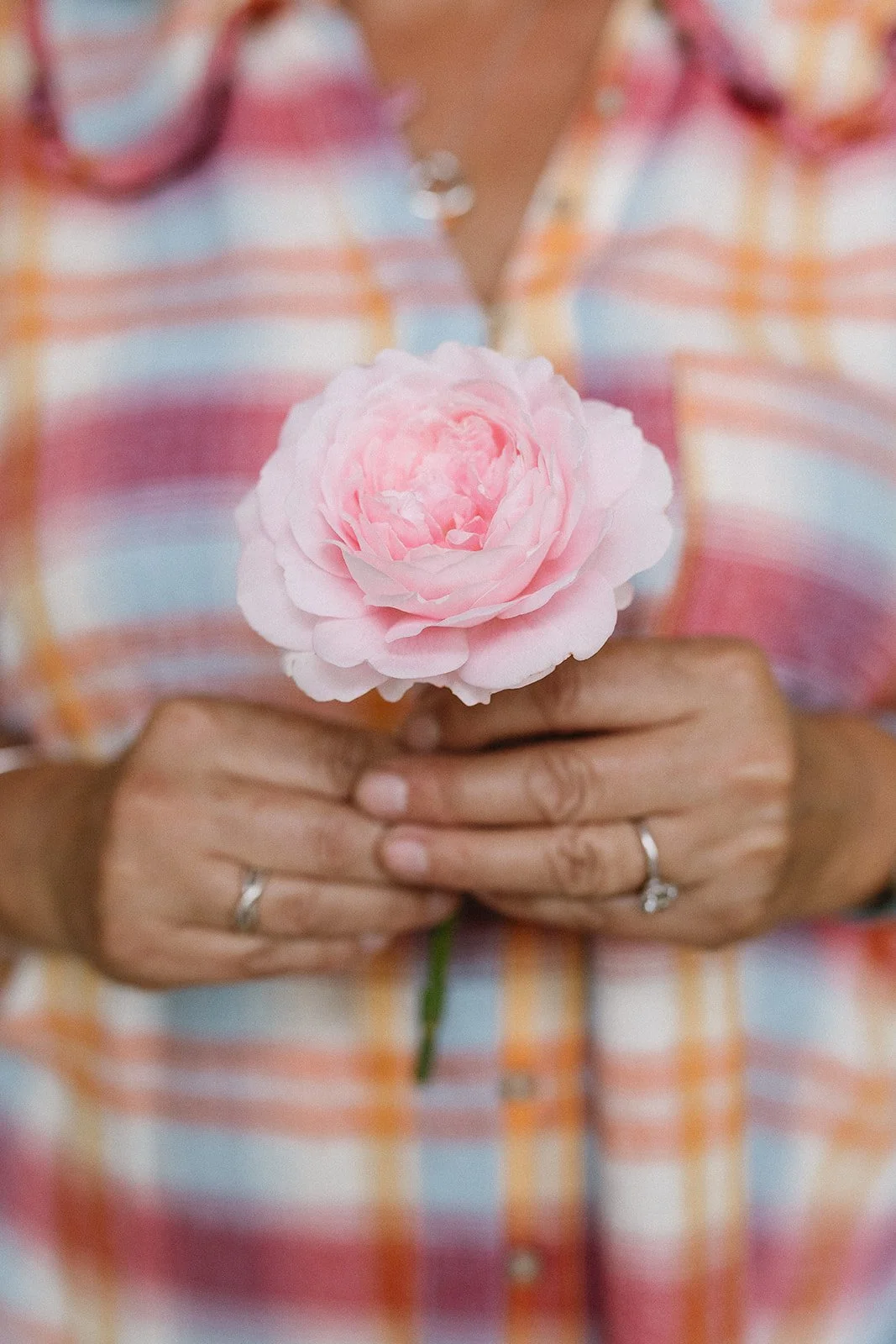 Person wearing a plaid shirt holding a pink flower.
