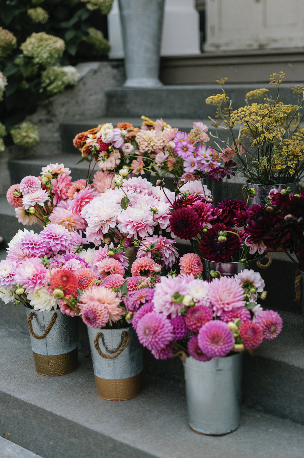 Screenshot 2026-01-30 at 10.00.55 PM.png